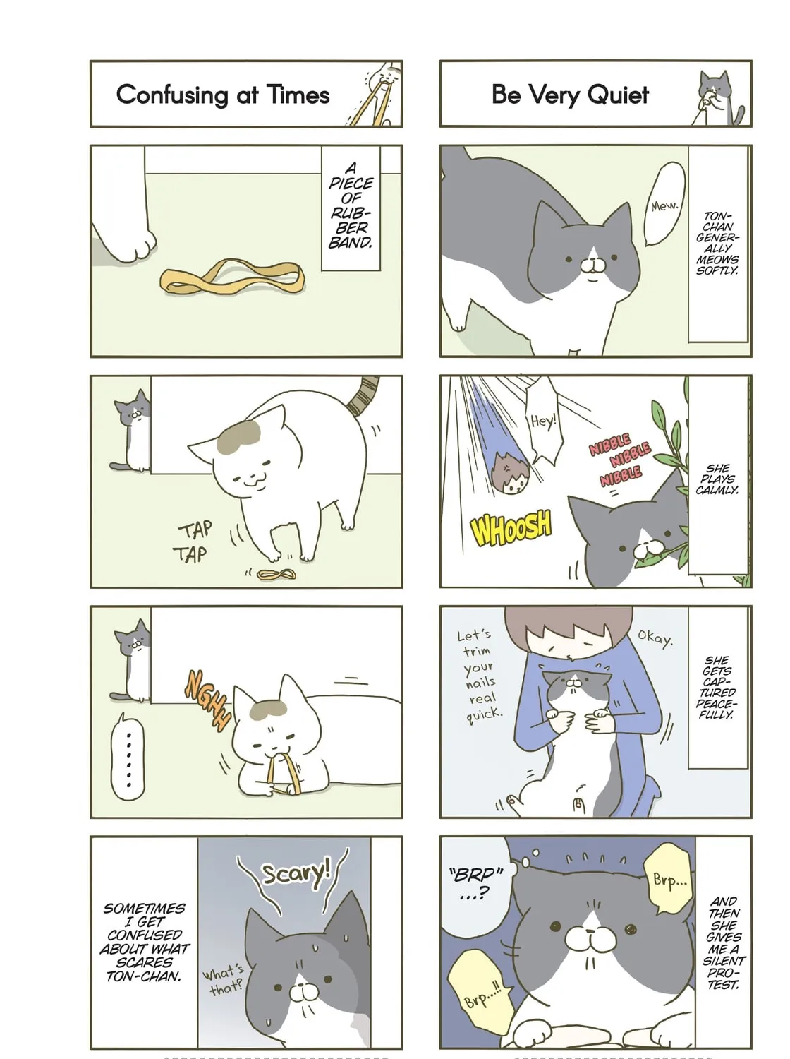 My Cat is Such a Weirdo Chapter 12 page 3 - 