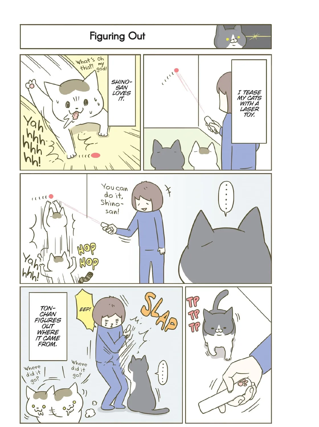 My Cat is Such a Weirdo Chapter 12 page 37 - 
