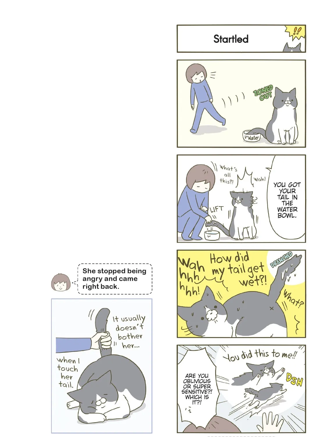 My Cat is Such a Weirdo Chapter 12 page 7 - 