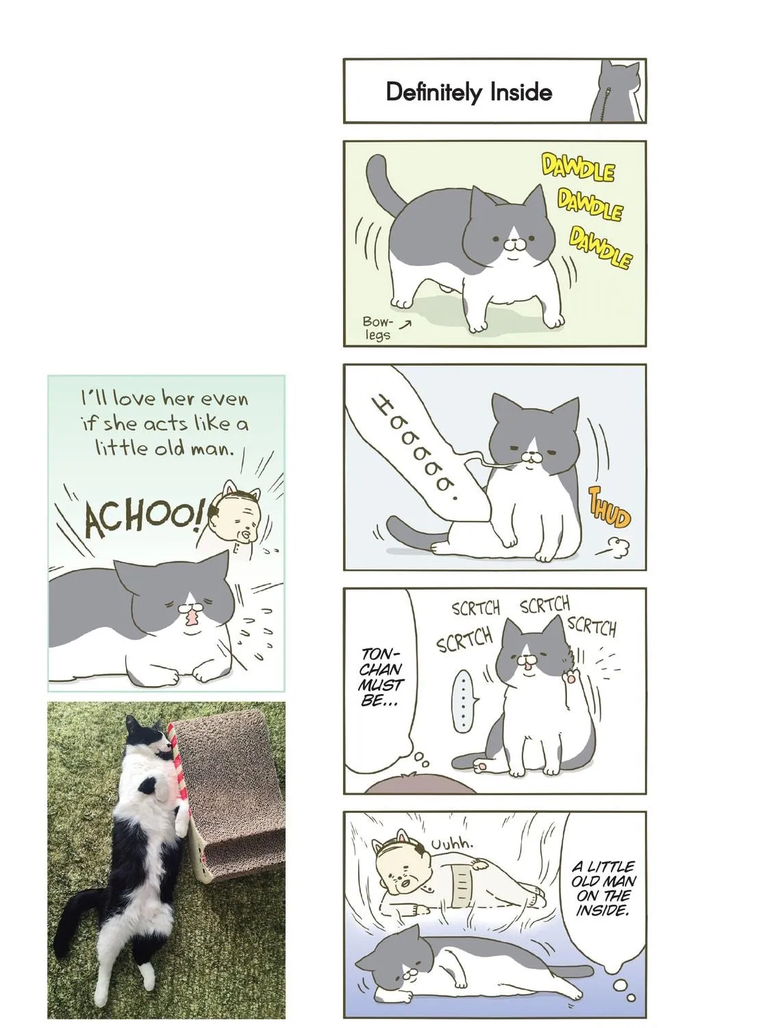 My Cat is Such a Weirdo Chapter 12 page 9 - 