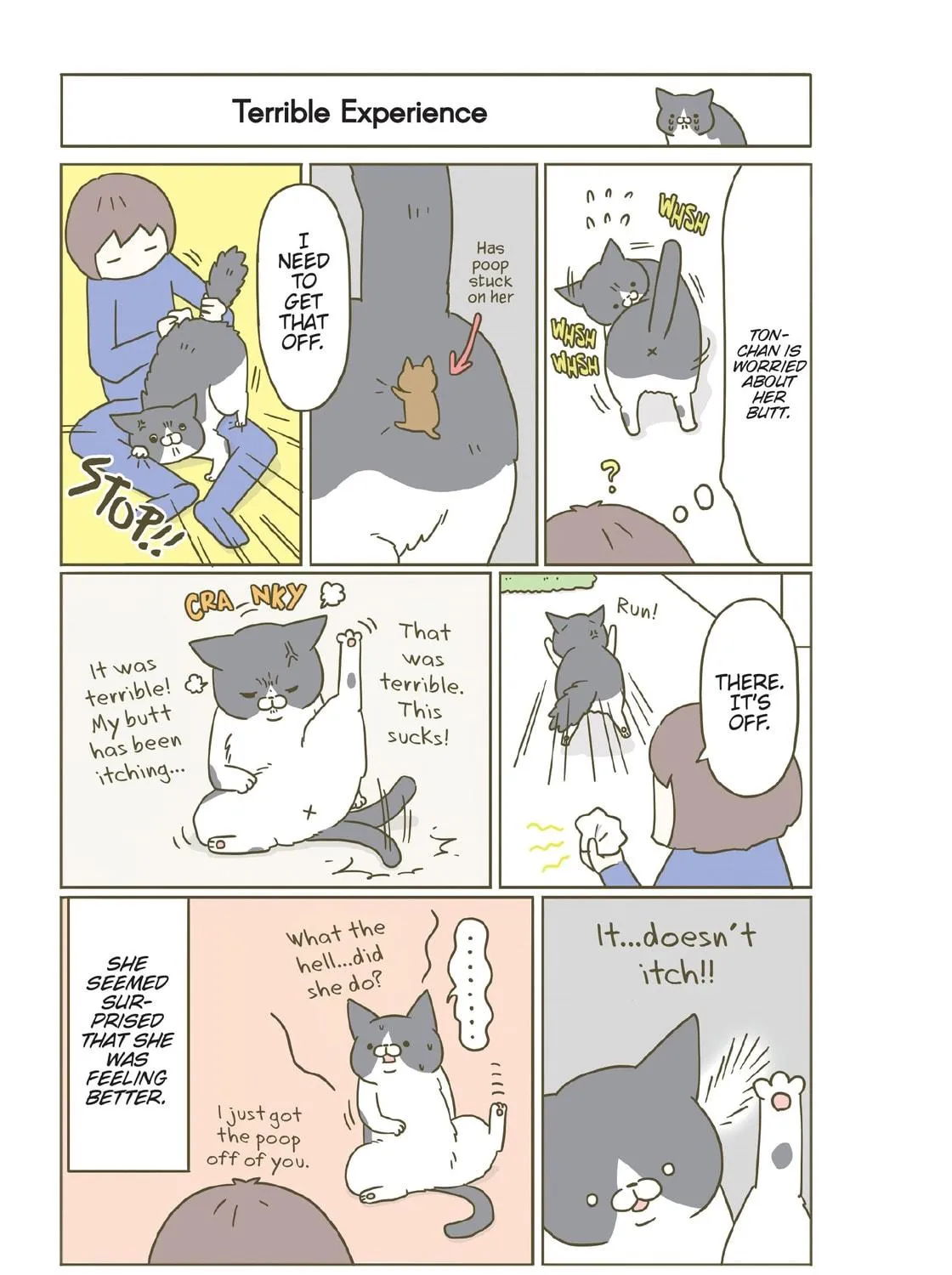 My Cat is Such a Weirdo Chapter 13 page 17 - 