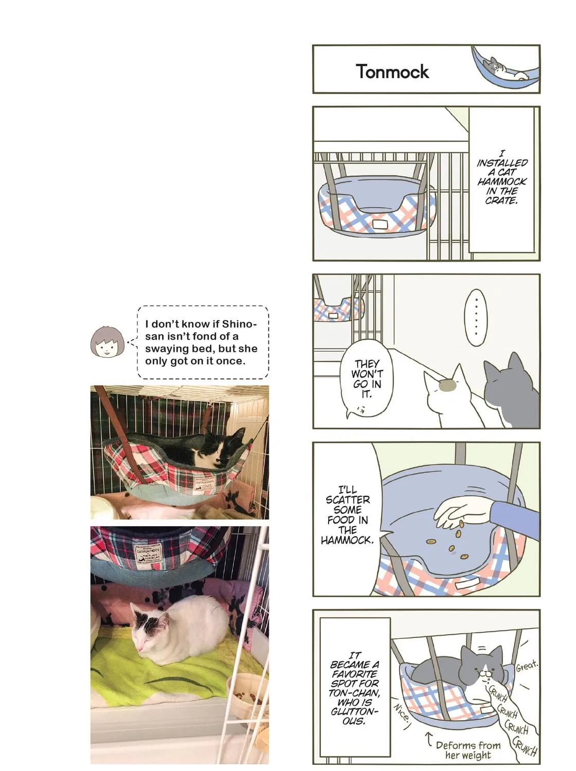 My Cat is Such a Weirdo Chapter 13 page 23 - 