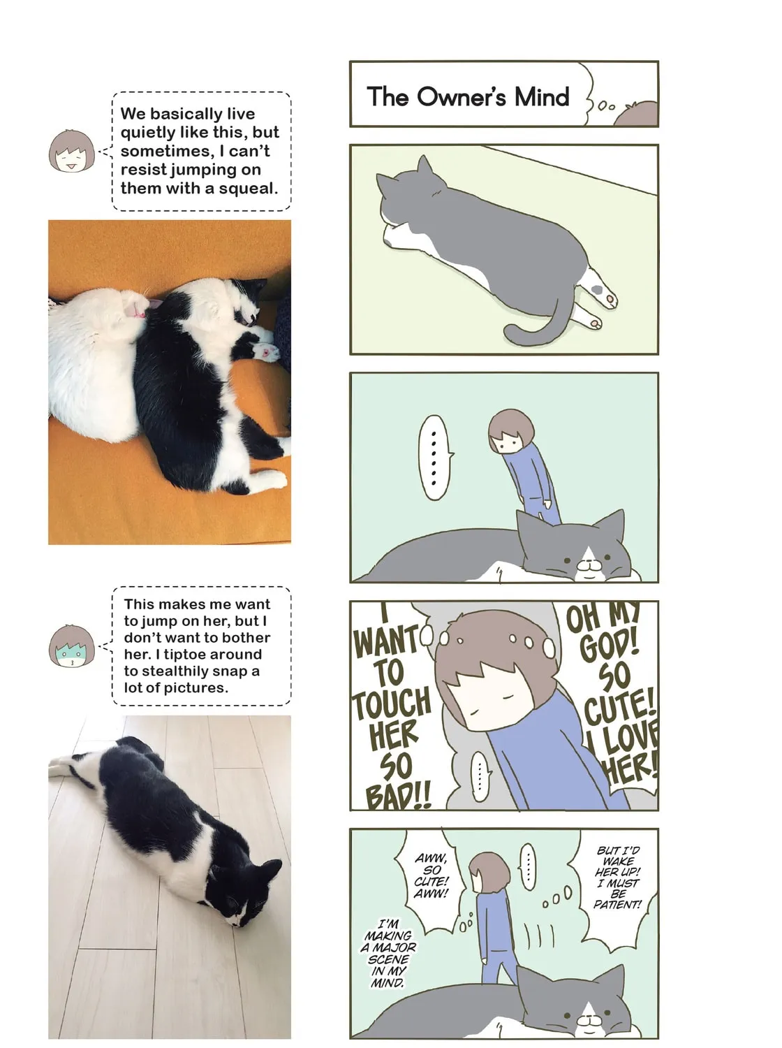 My Cat is Such a Weirdo Chapter 13 page 37 - 