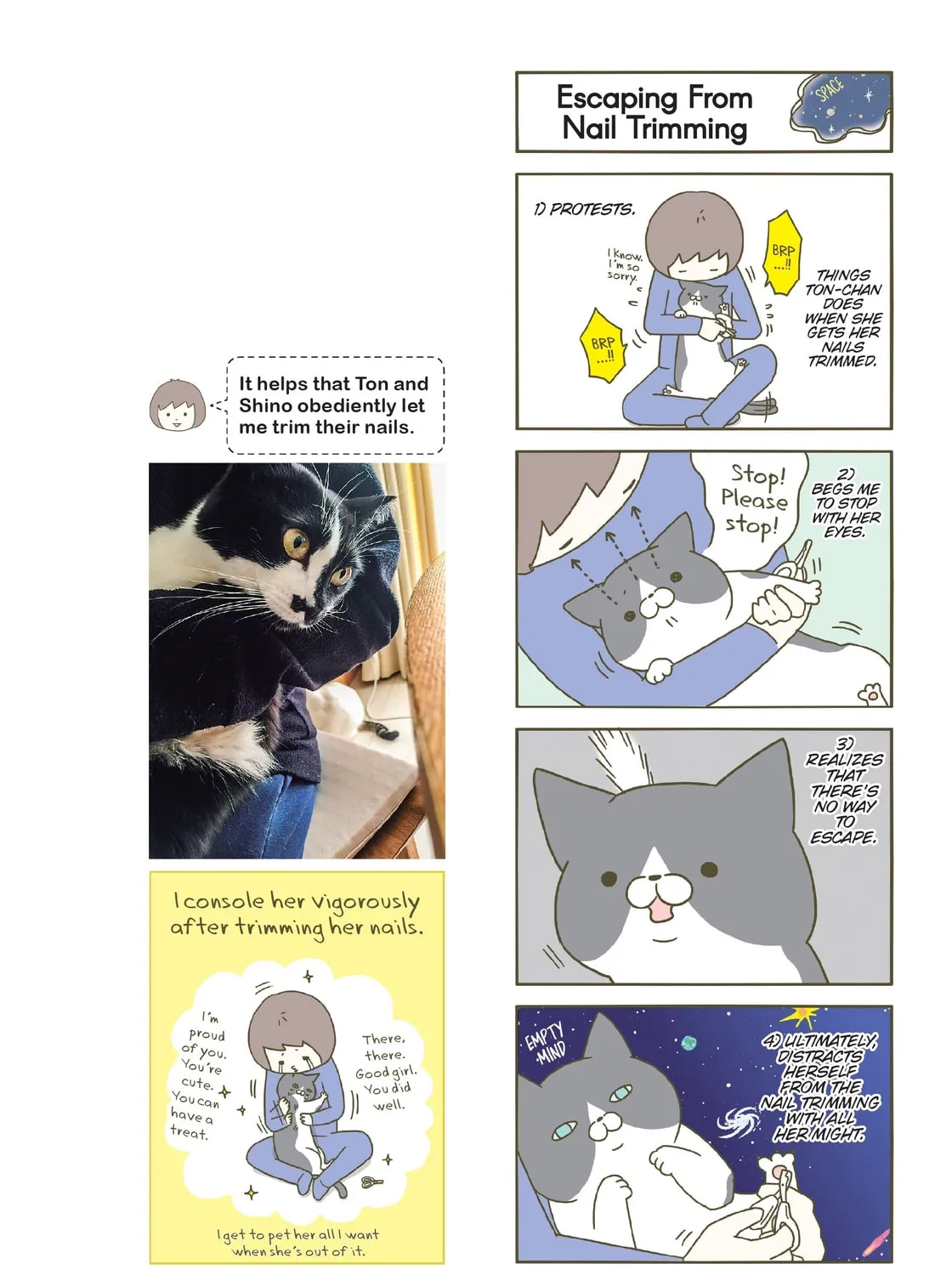 My Cat is Such a Weirdo Chapter 13 page 7 - 