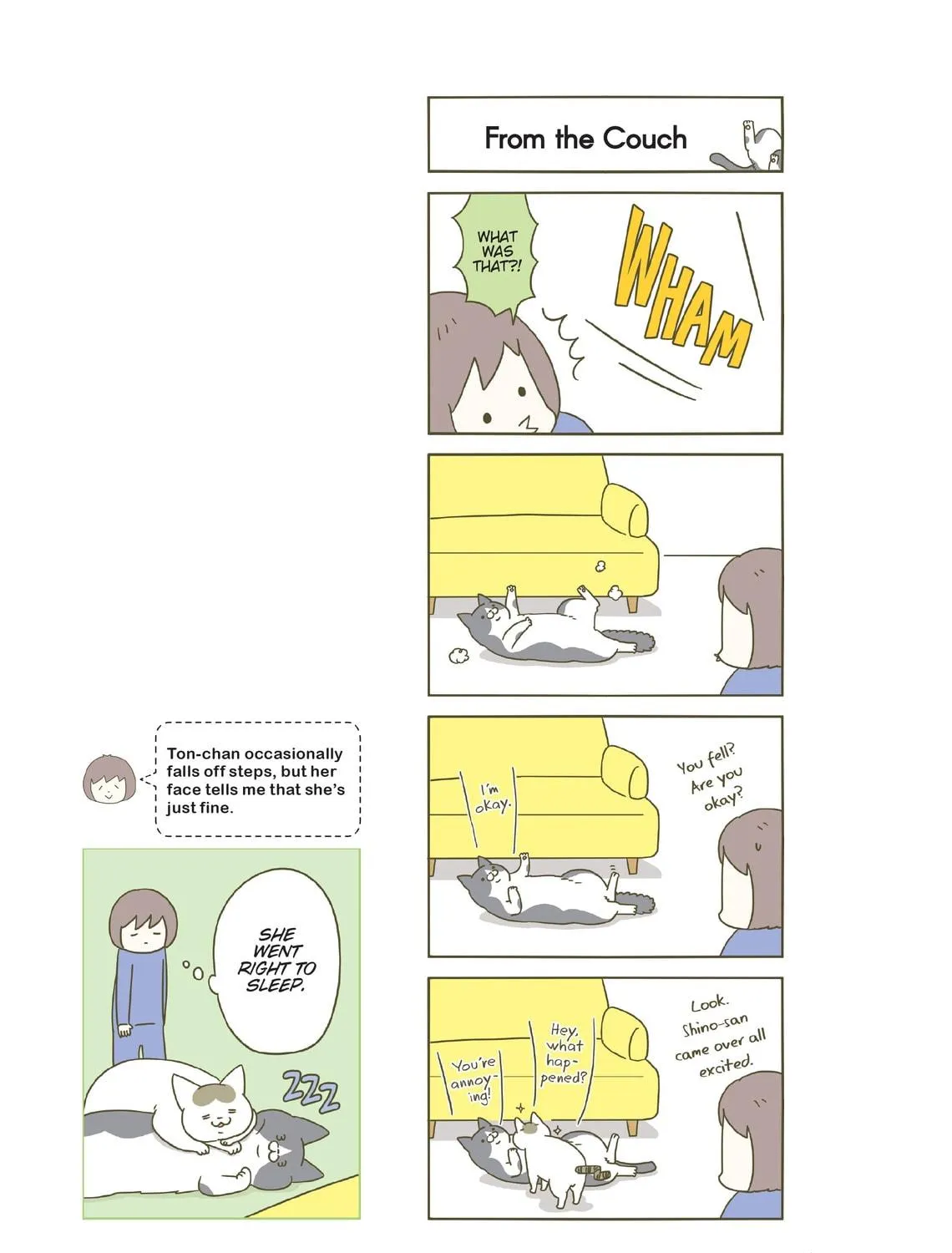 My Cat is Such a Weirdo Chapter 16 page 41 - 