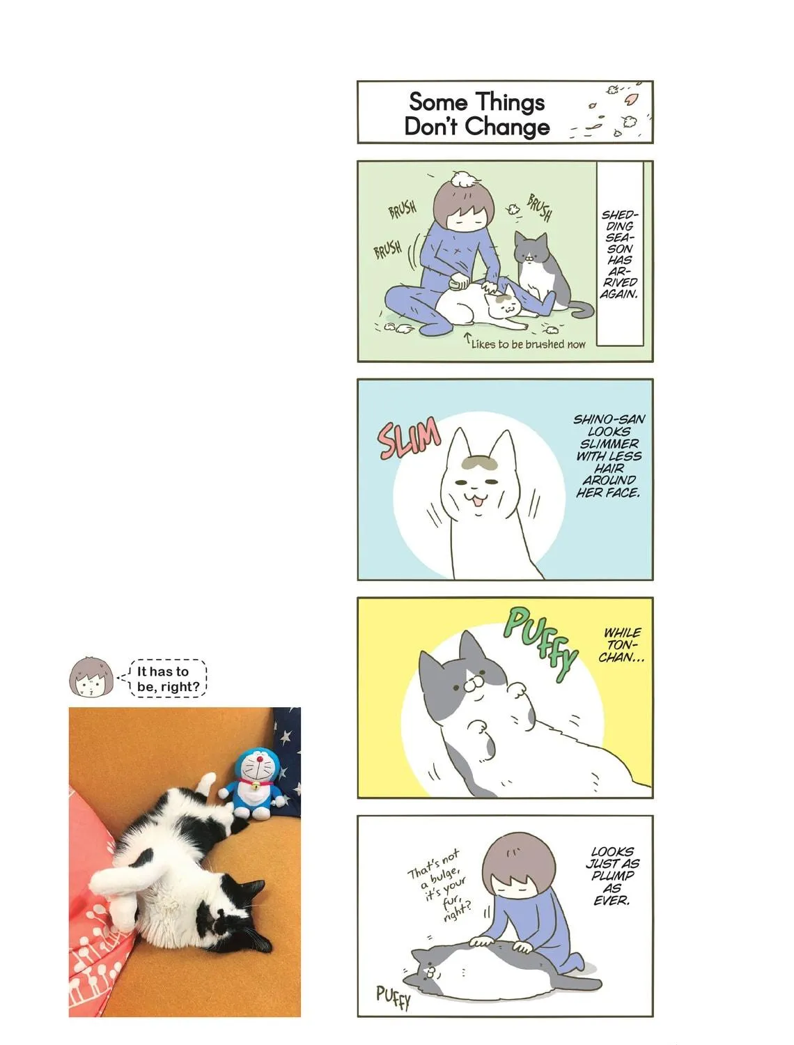 My Cat is Such a Weirdo Chapter 17 page 9 - 