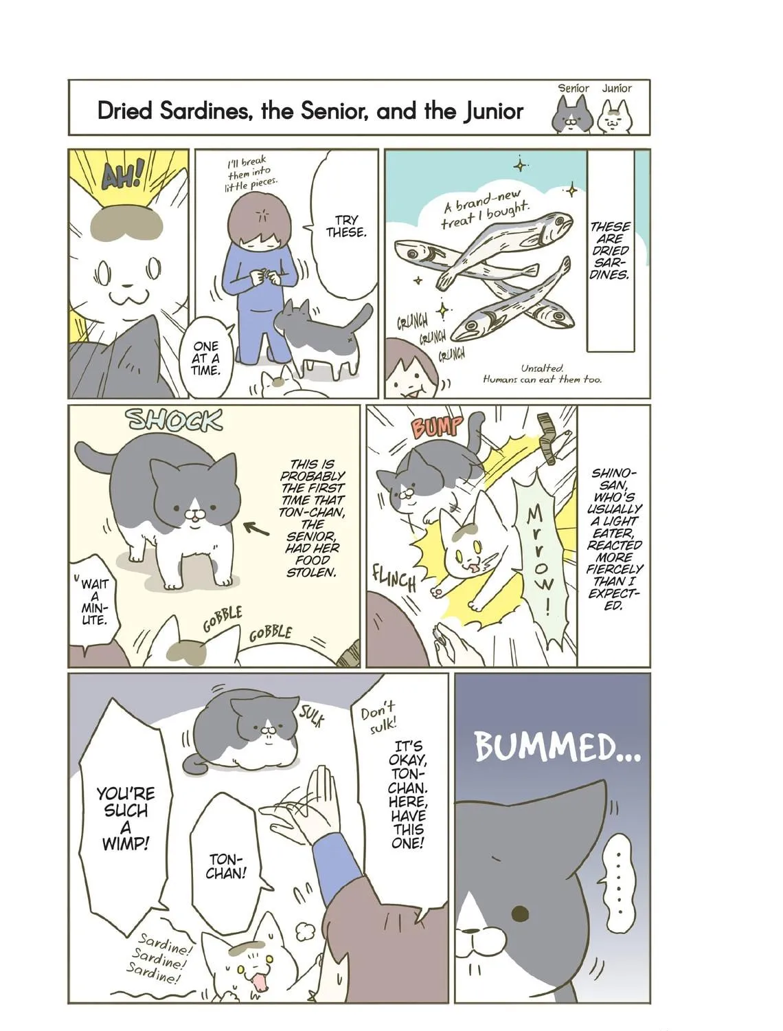 My Cat is Such a Weirdo Chapter 18 page 5 - 