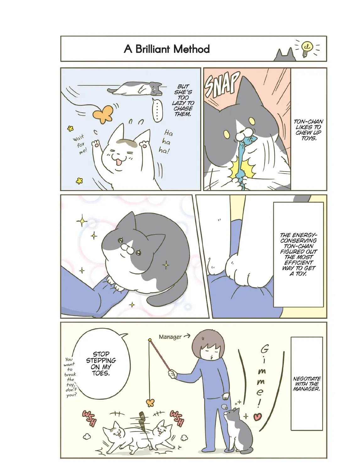 My Cat is Such a Weirdo Chapter 19 page 3 - 
