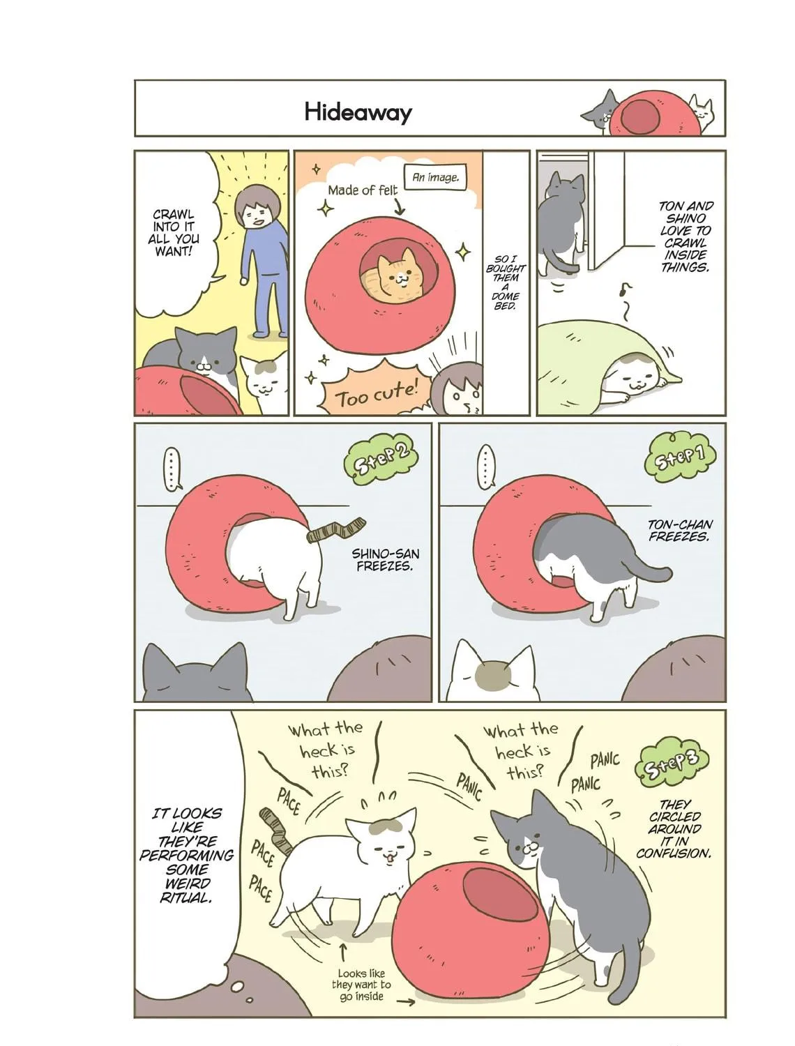 My Cat is Such a Weirdo Chapter 19 page 23 - 