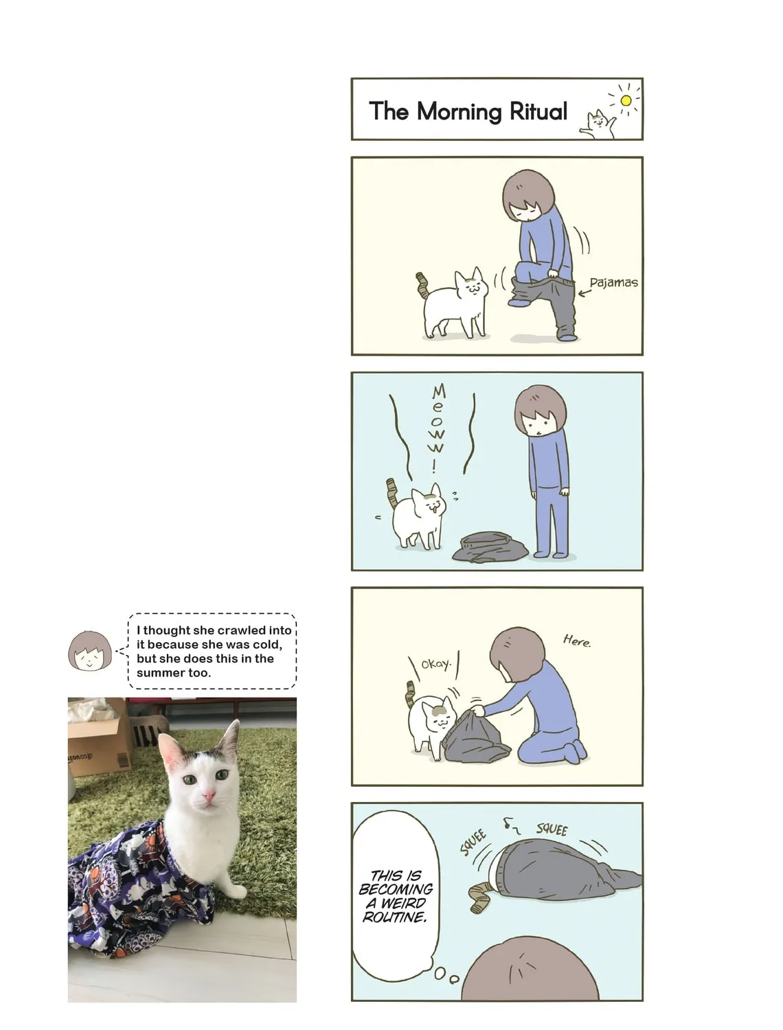 My Cat is Such a Weirdo Chapter 19 page 37 - 