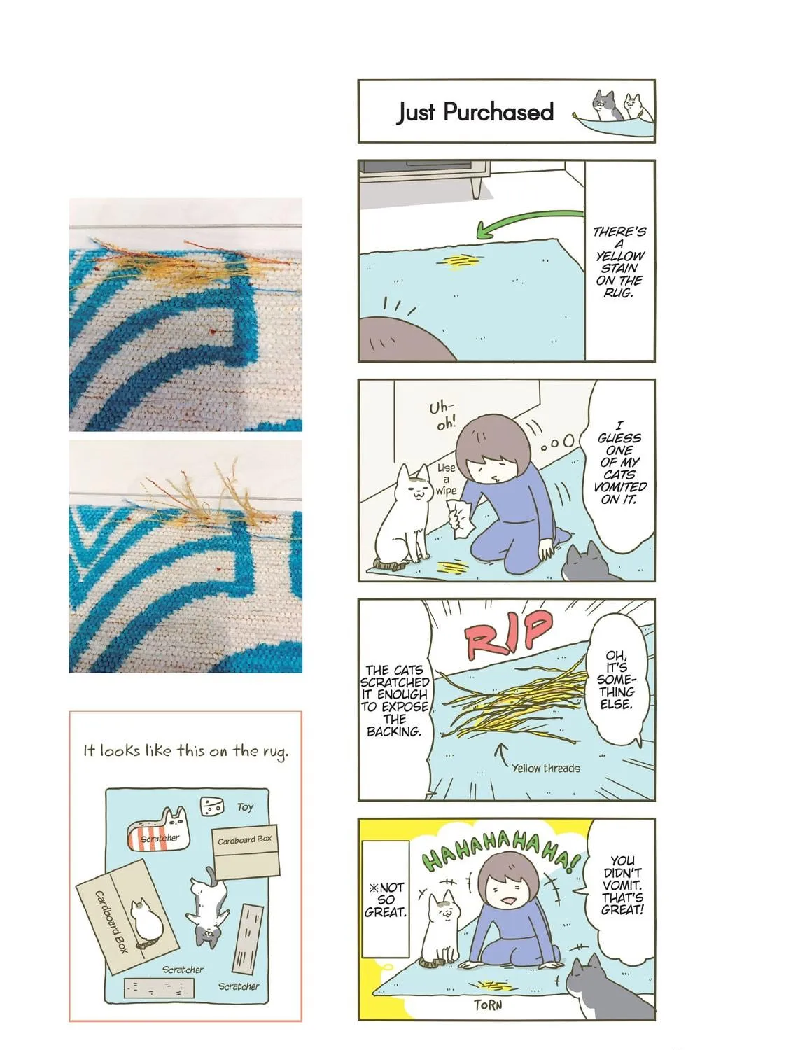 My Cat is Such a Weirdo Chapter 19 page 41 - 