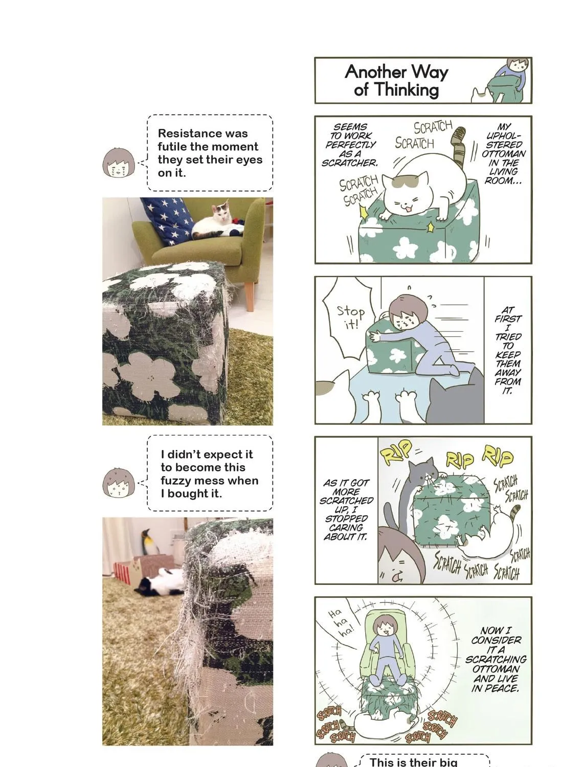 My Cat is Such a Weirdo Chapter 2 page 11 - 