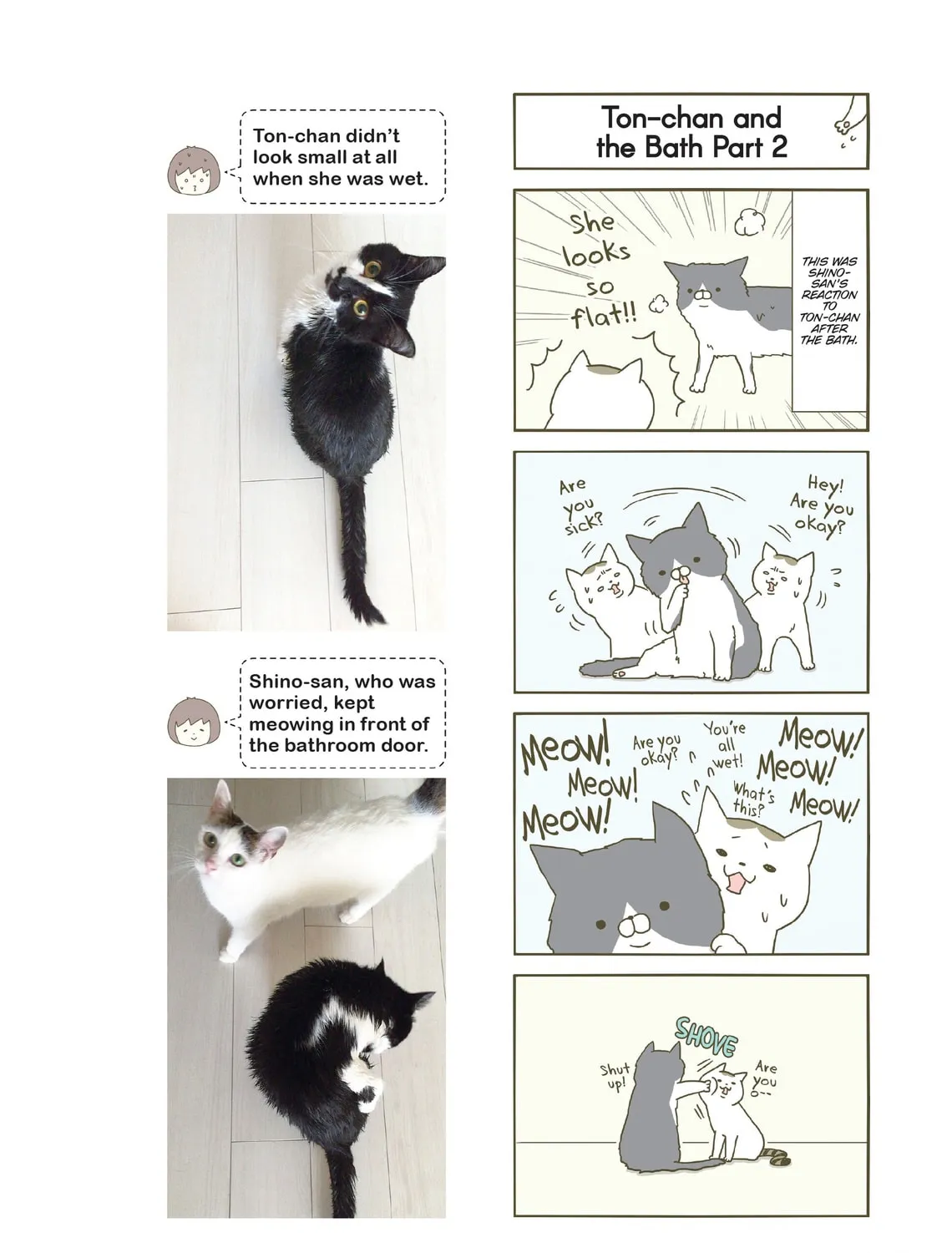 My Cat is Such a Weirdo Chapter 2 page 15 - 