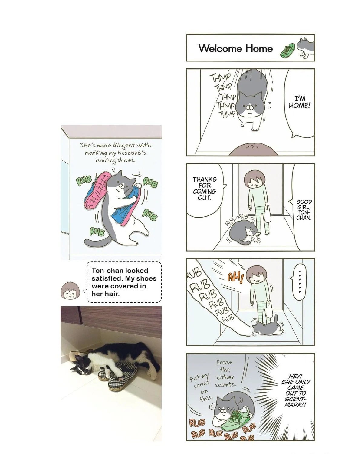 My Cat is Such a Weirdo Chapter 2 page 19 - 