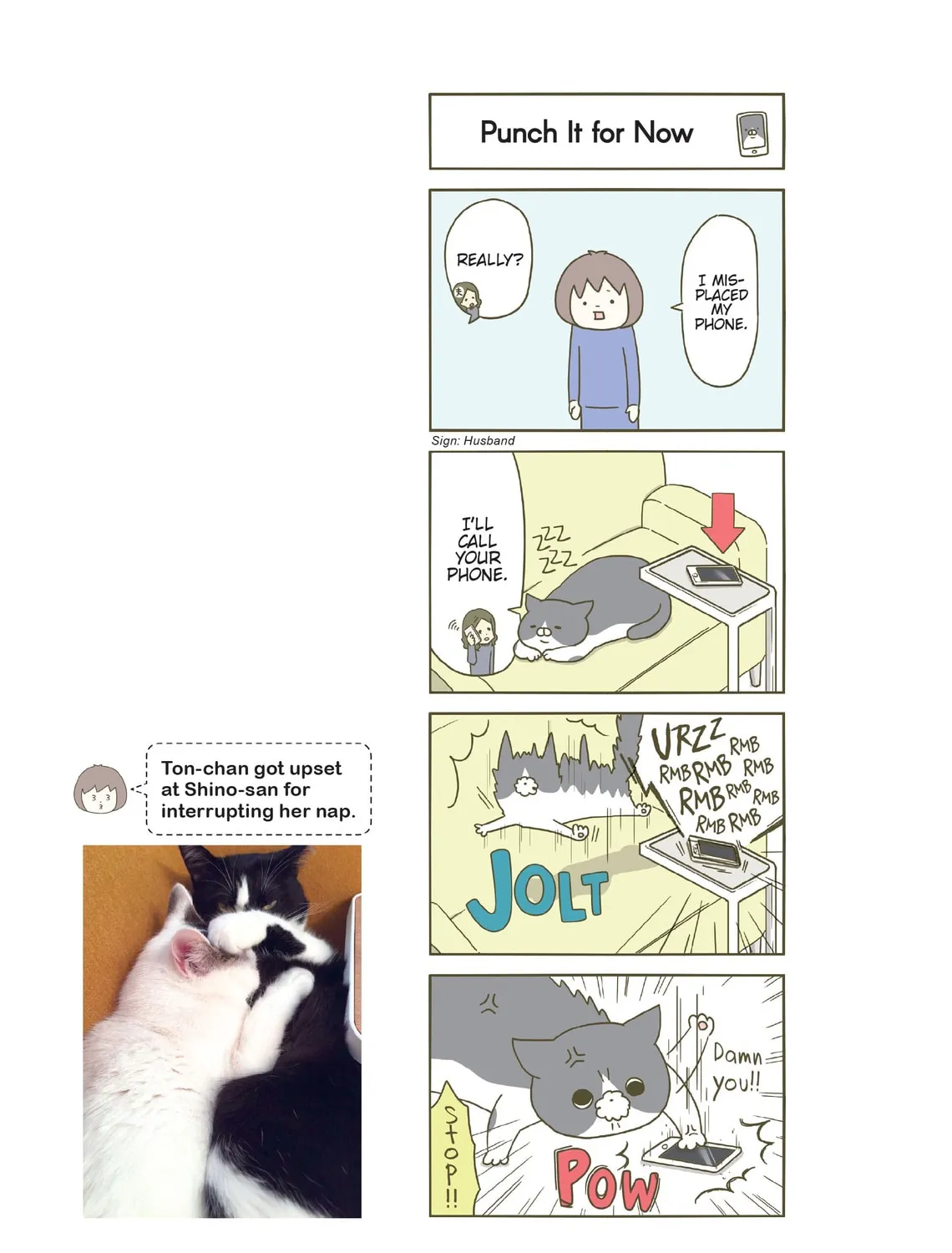 My Cat is Such a Weirdo Chapter 2 page 21 - 