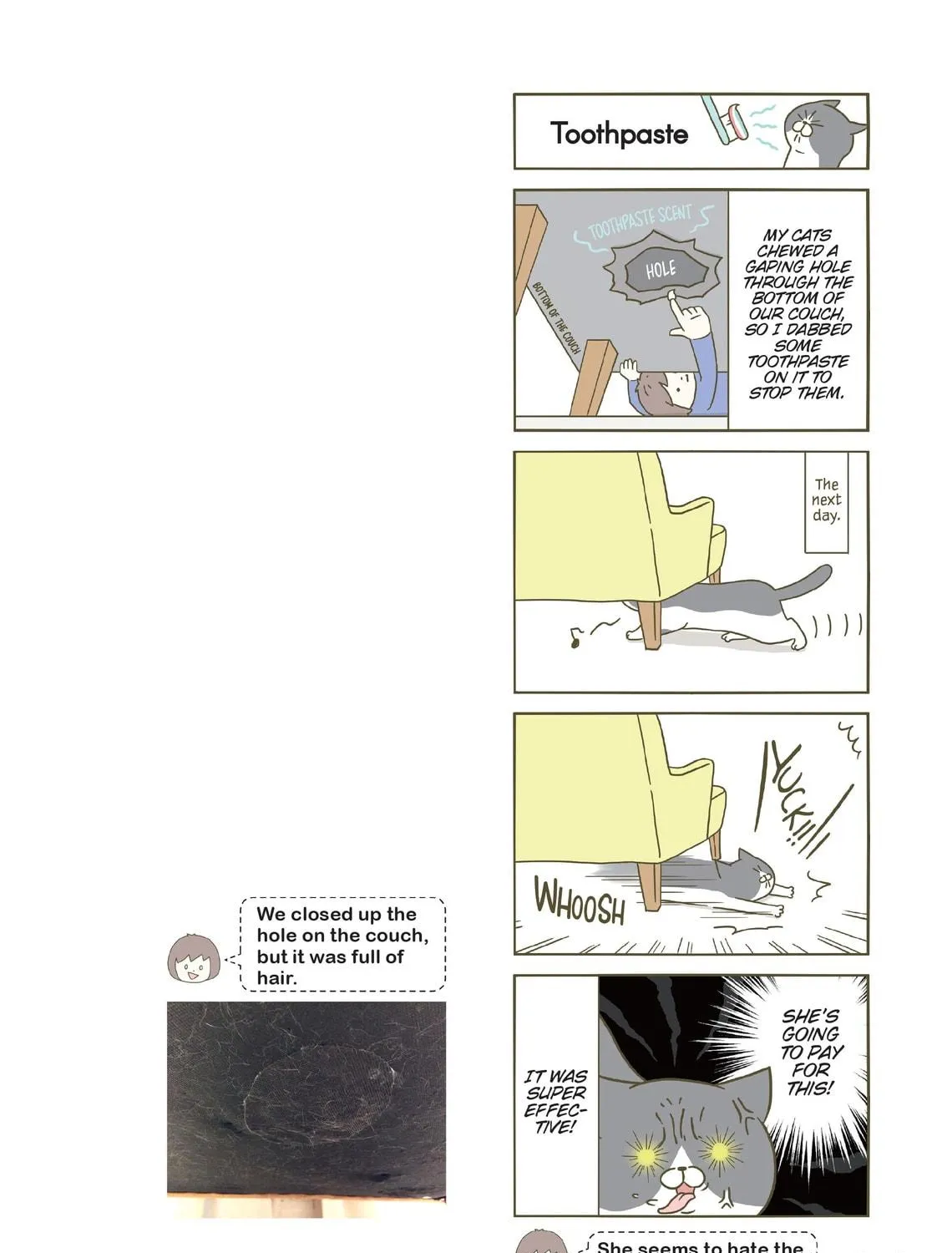 My Cat is Such a Weirdo Chapter 2 page 23 - 