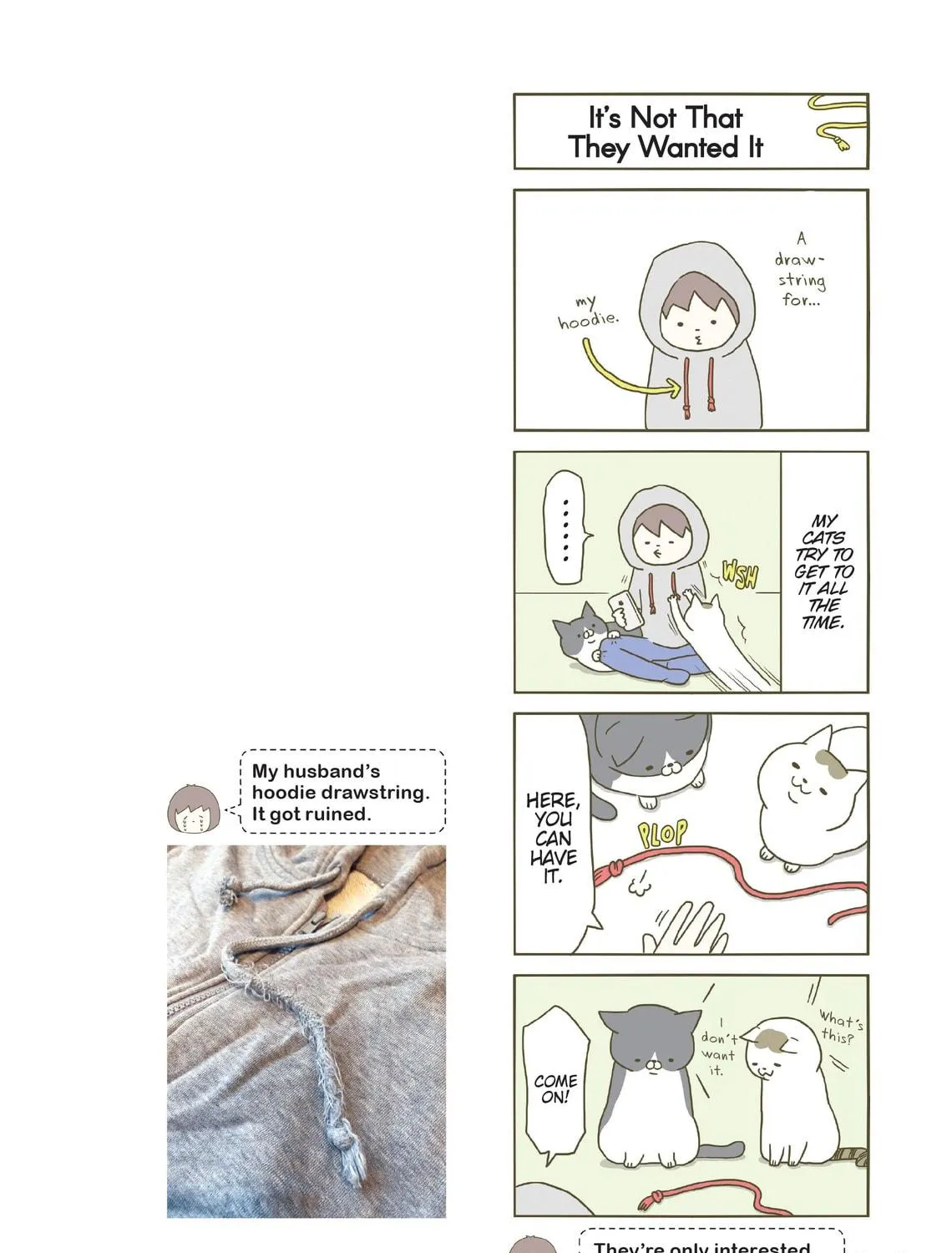 My Cat is Such a Weirdo Chapter 2 page 35 - 