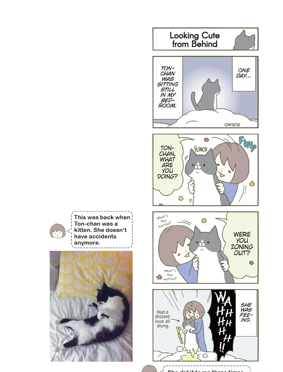My Cat is Such a Weirdo Chapter 2 page 39 - 