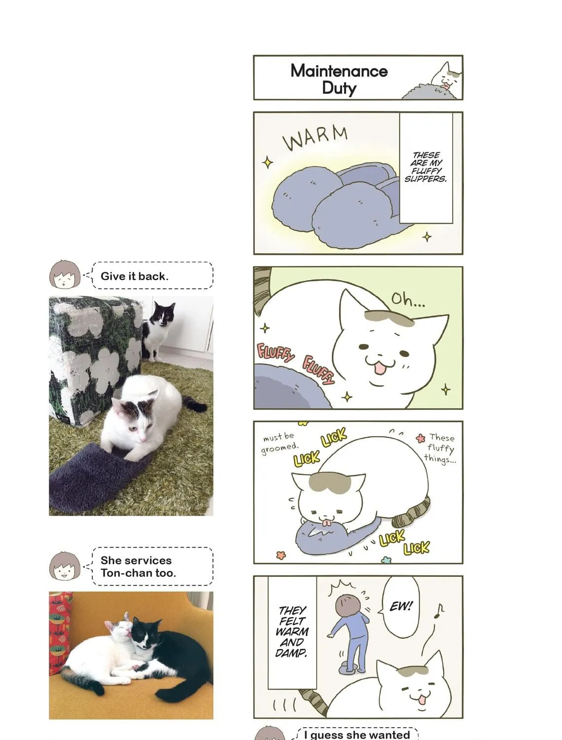 My Cat is Such a Weirdo Chapter 2 page 5 - 