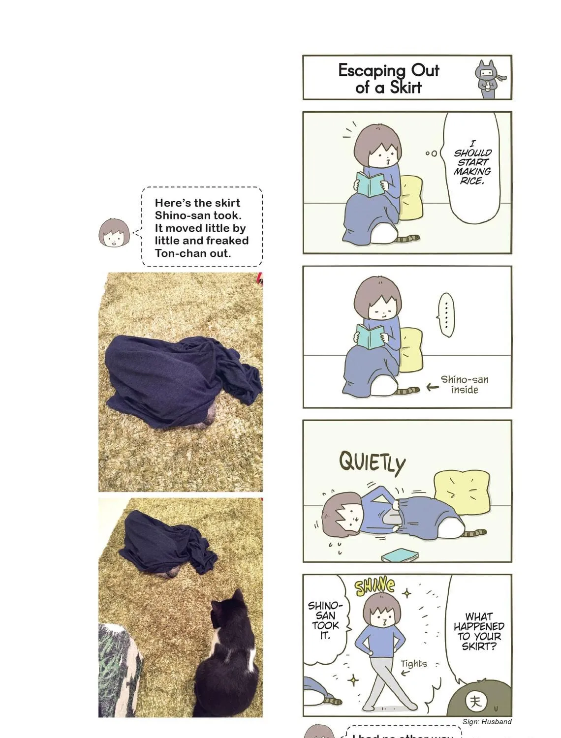 My Cat is Such a Weirdo Chapter 2 page 47 - 