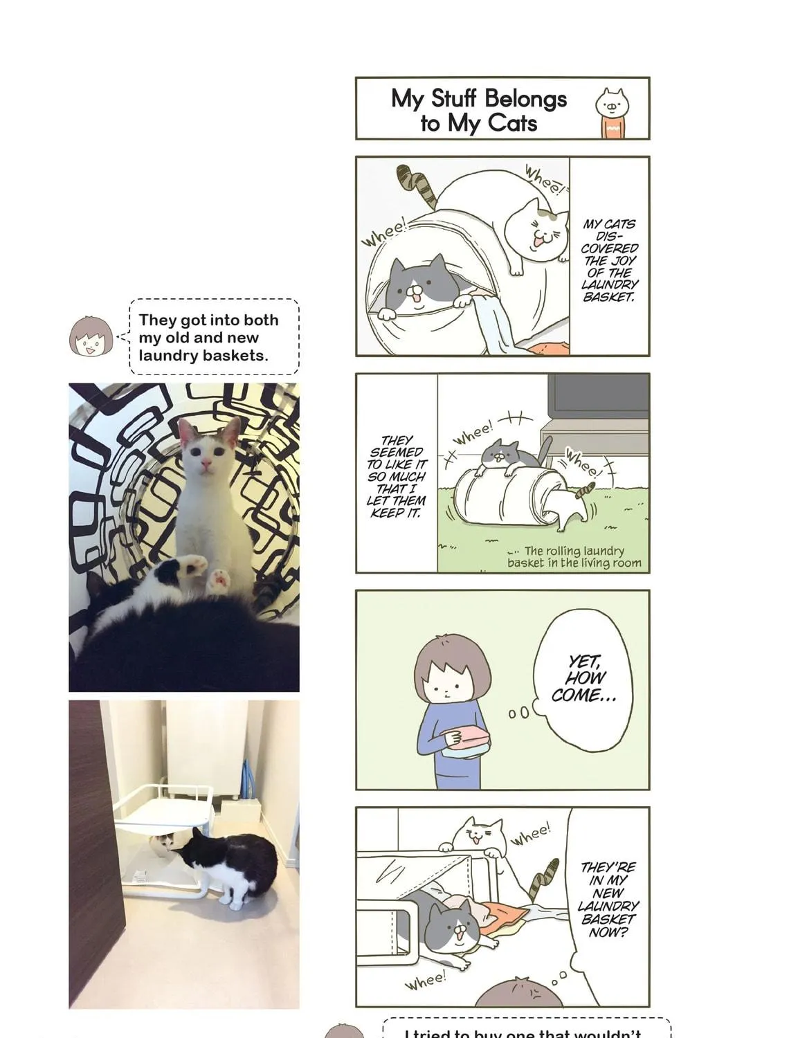 My Cat is Such a Weirdo Chapter 2 page 9 - 