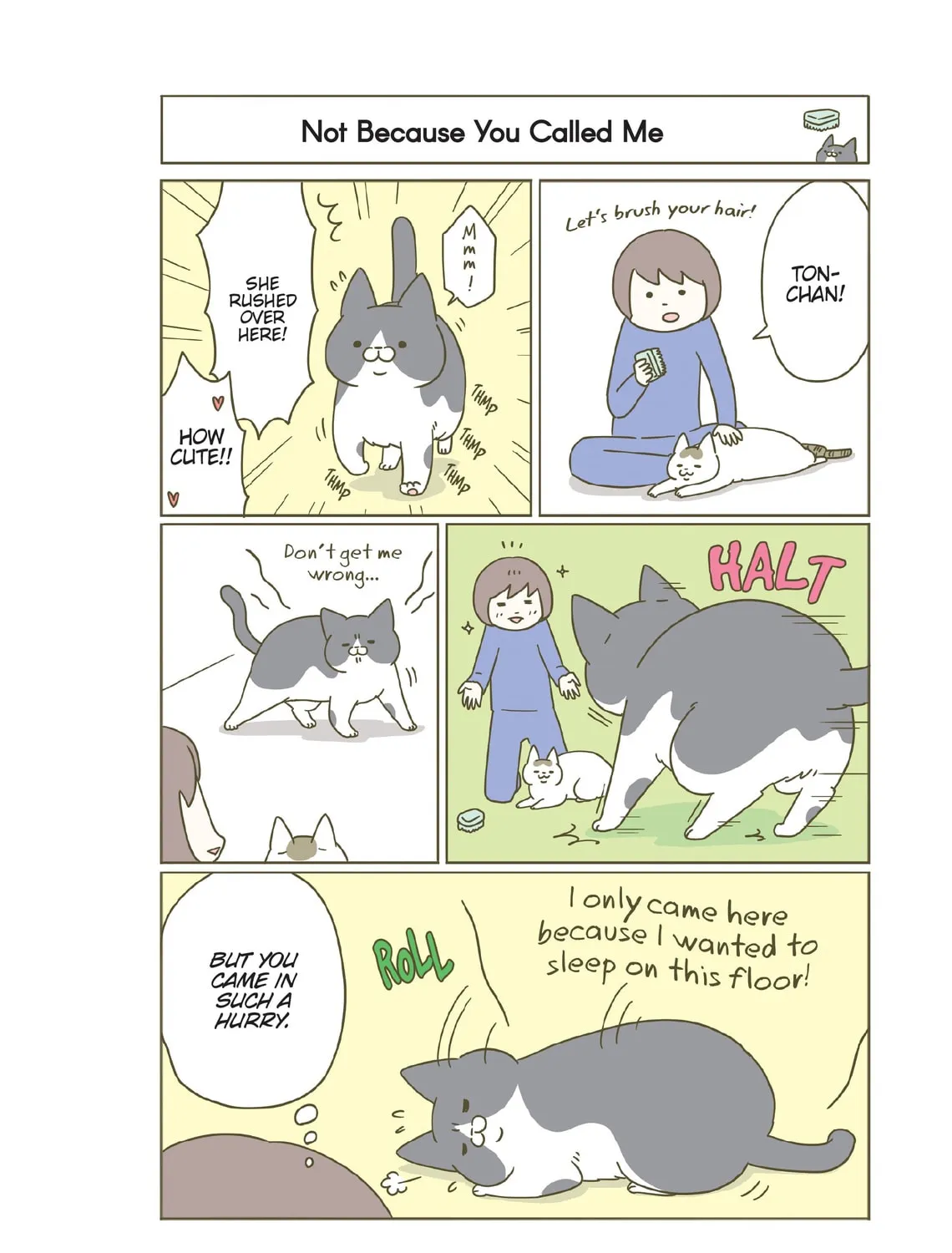 My Cat is Such a Weirdo Chapter 20 page 3 - 