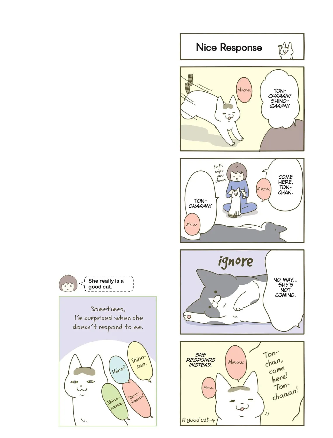 My Cat is Such a Weirdo Chapter 20 page 7 - 