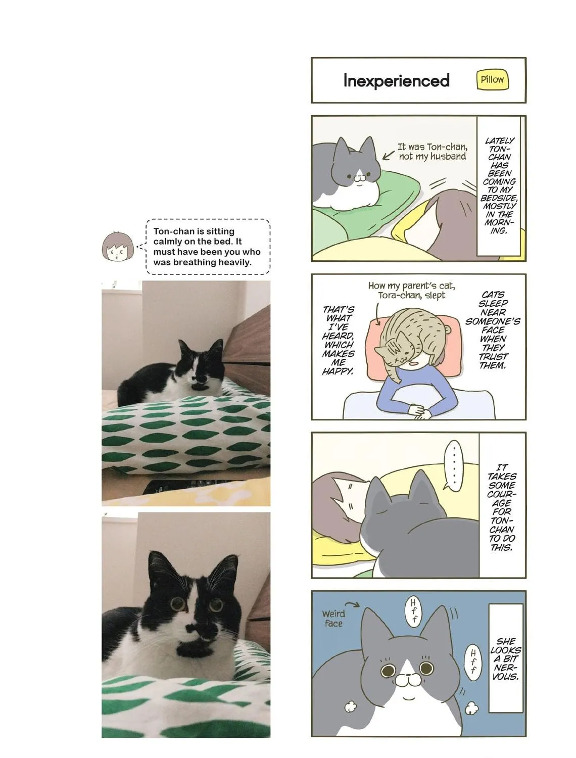 My Cat is Such a Weirdo Chapter 21 page 11 - 