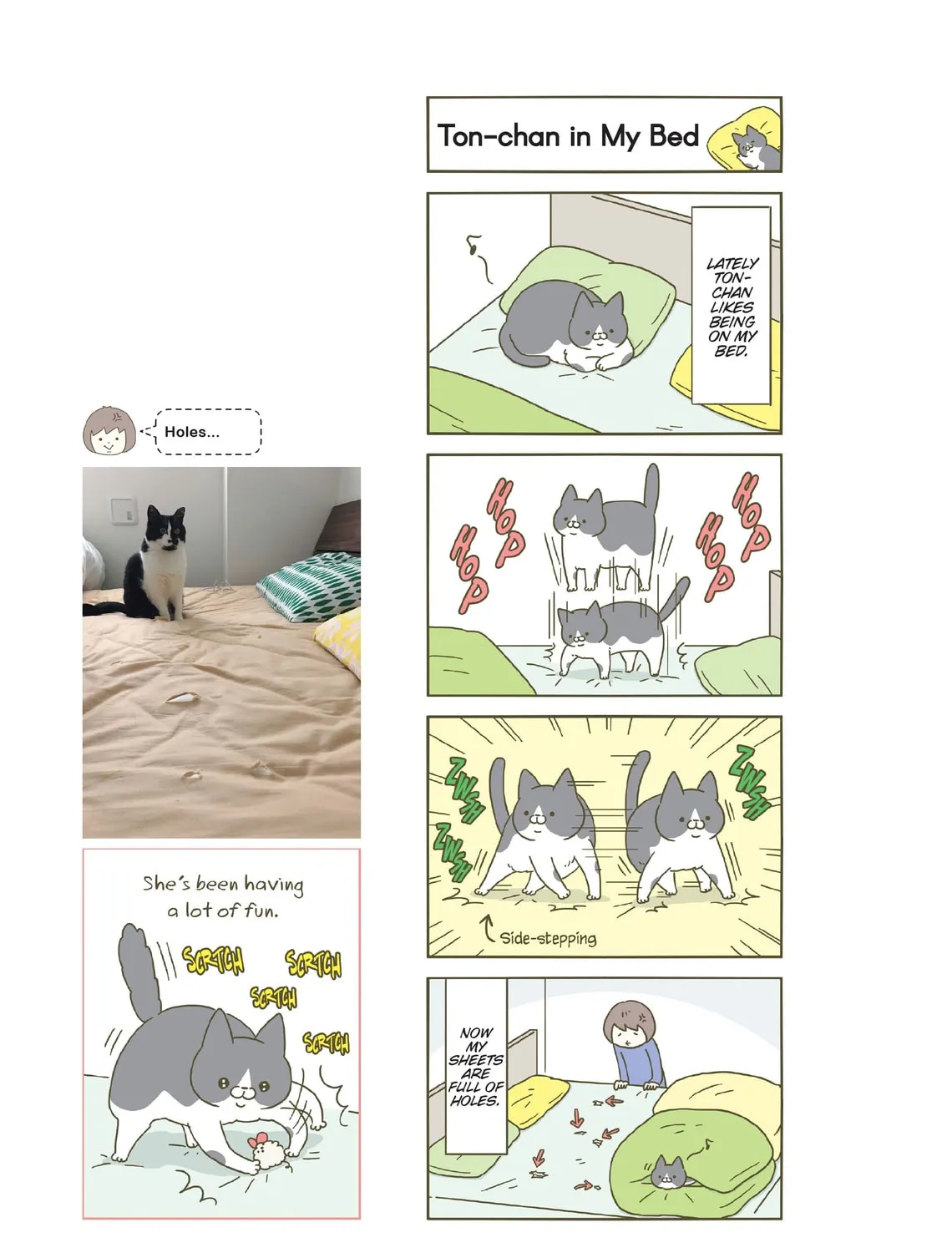 My Cat is Such a Weirdo Chapter 21 page 13 - 