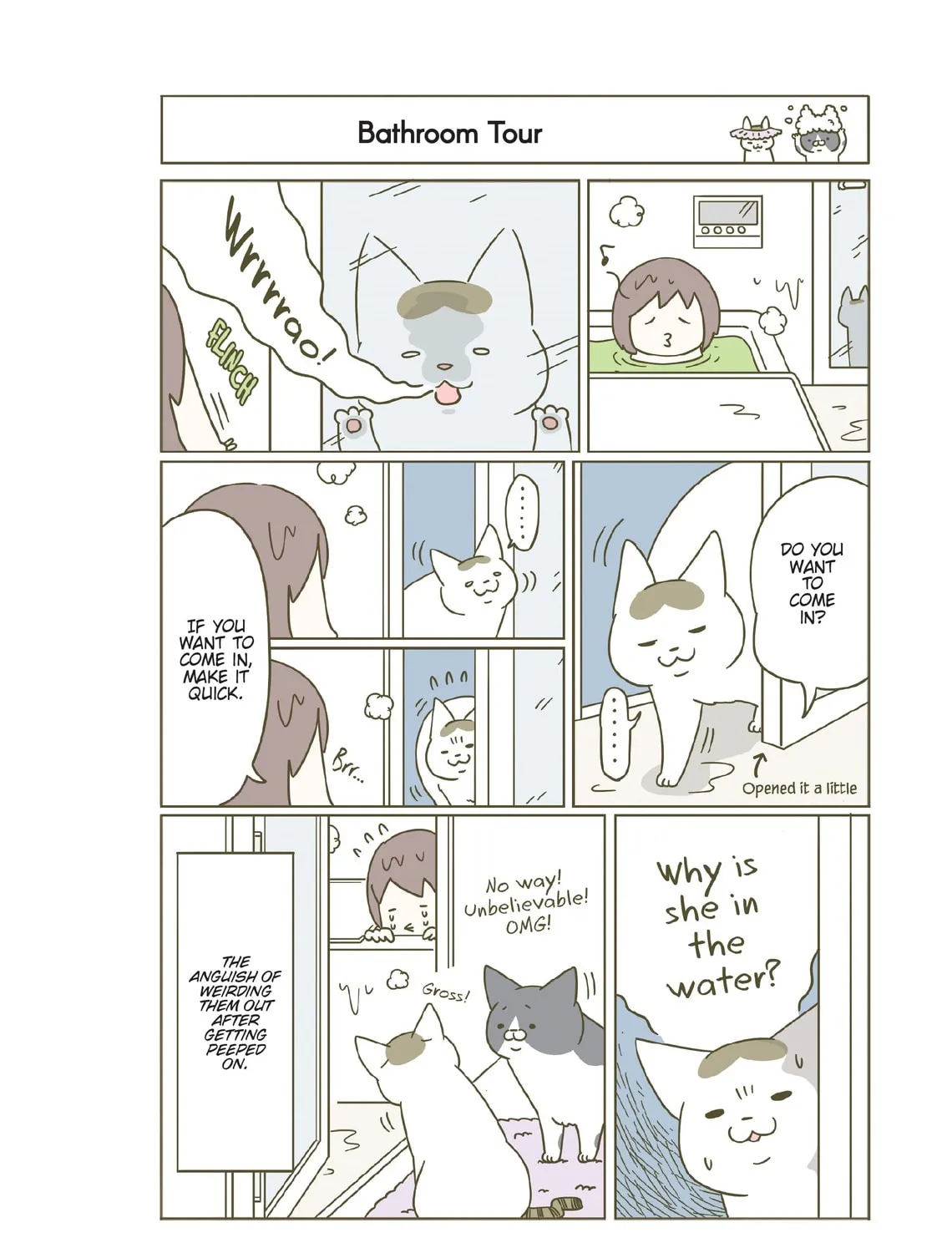 My Cat is Such a Weirdo Chapter 21 page 15 - 