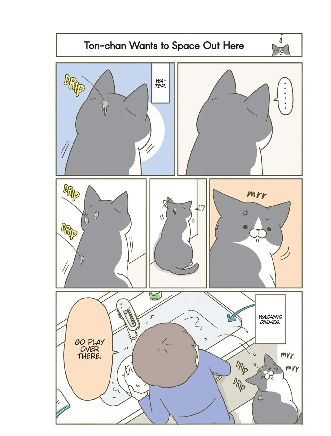 My Cat is Such a Weirdo Chapter 21 page 3 - 