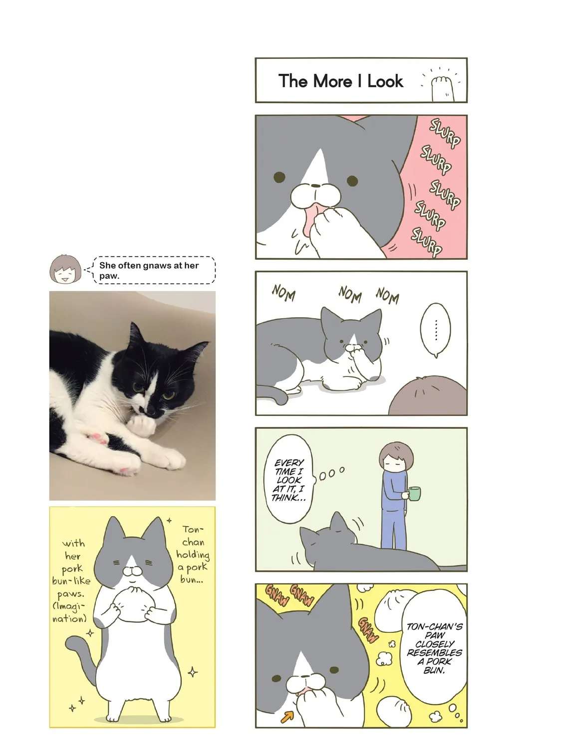My Cat is Such a Weirdo Chapter 21 page 21 - 