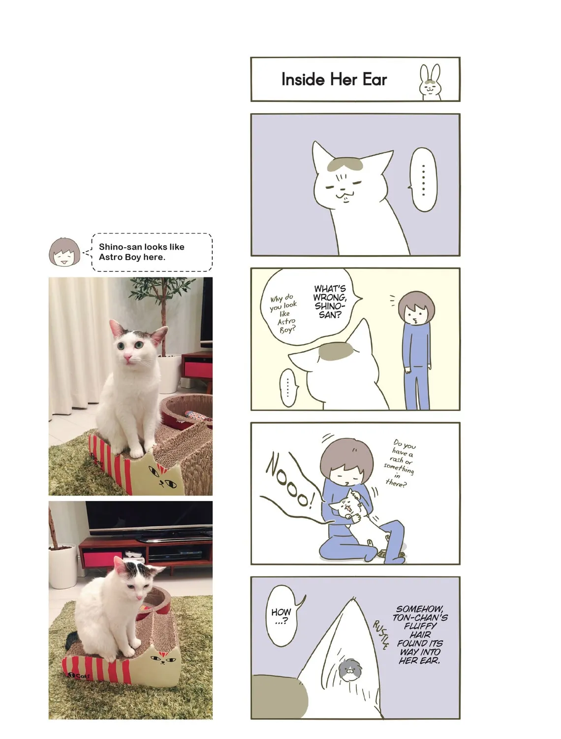 My Cat is Such a Weirdo Chapter 21 page 25 - 