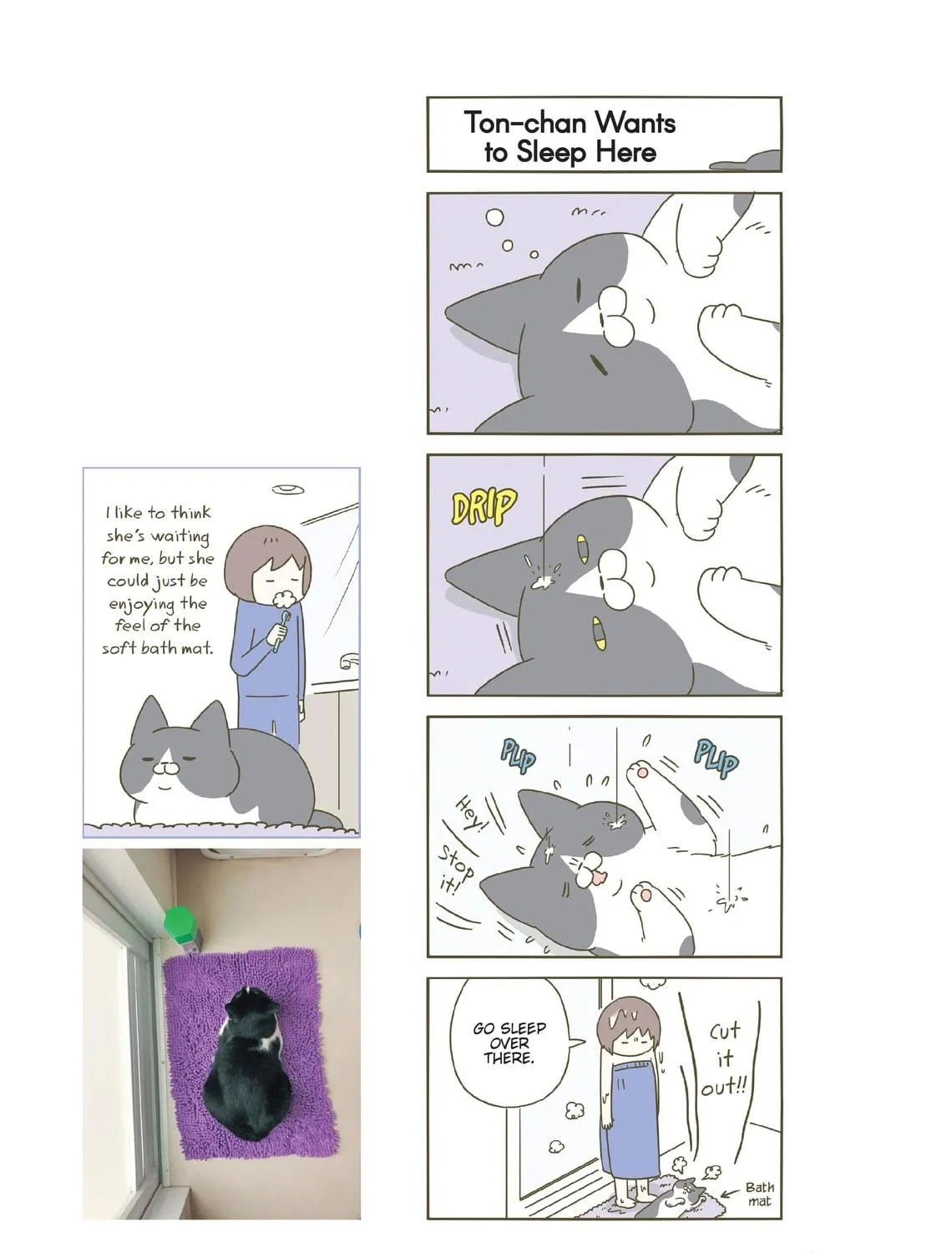 My Cat is Such a Weirdo Chapter 21 page 5 - 