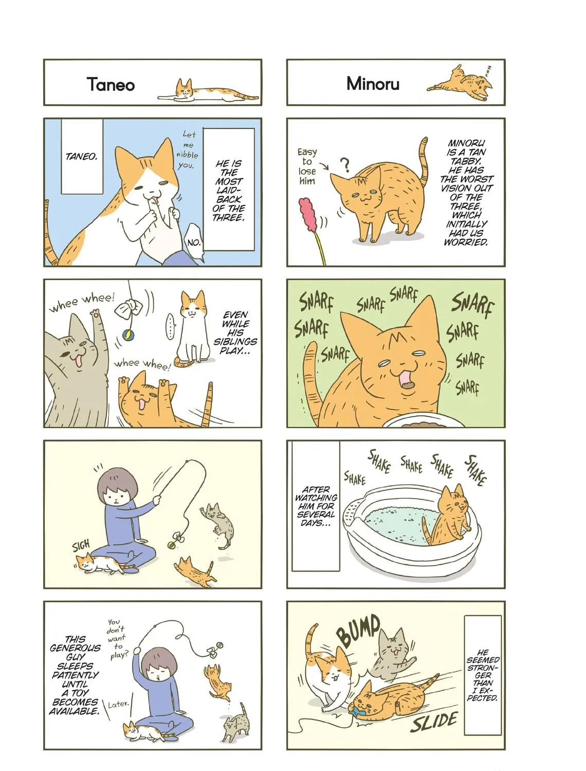 My Cat is Such a Weirdo Chapter 22 page 17 - 