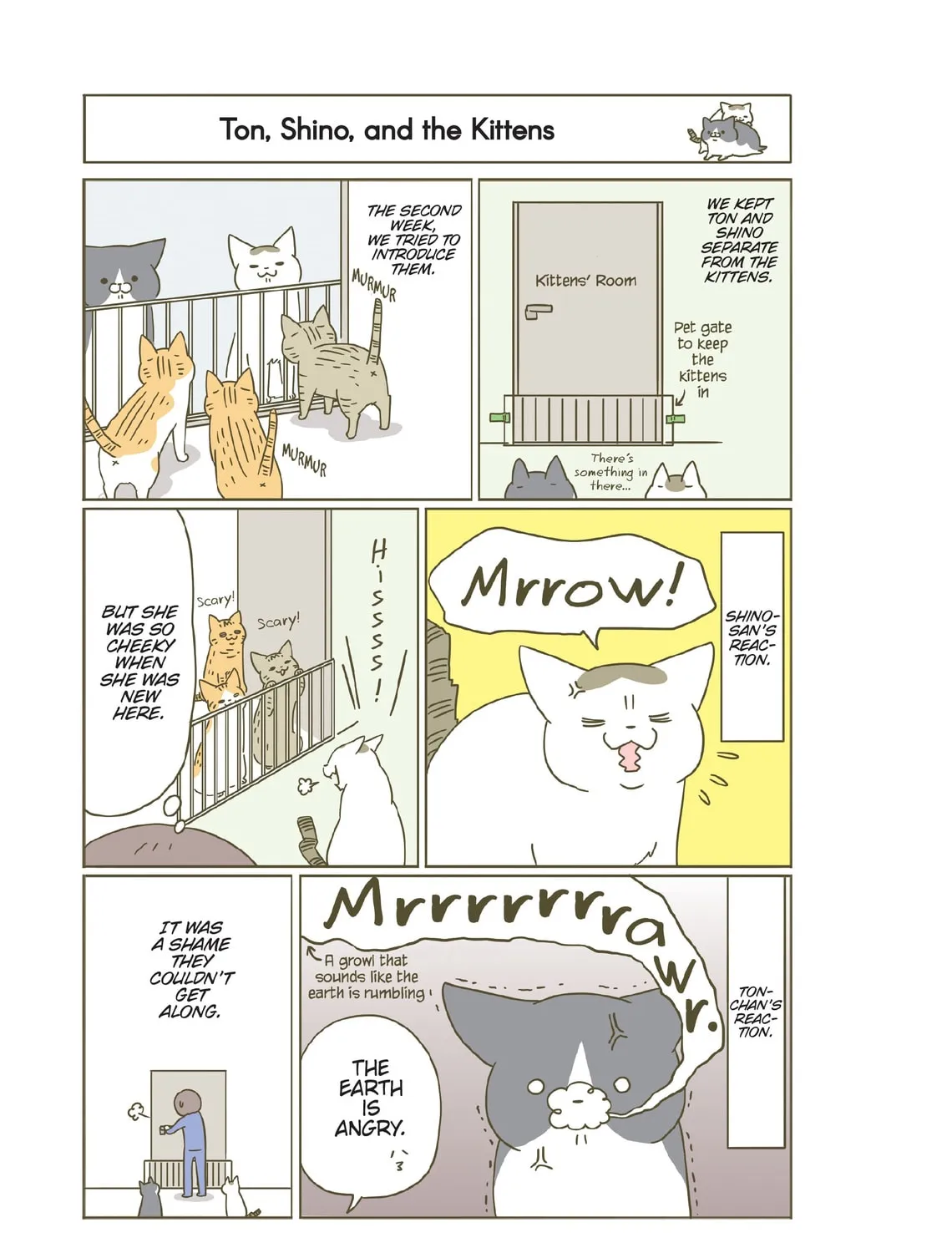 My Cat is Such a Weirdo Chapter 22 page 21 - 