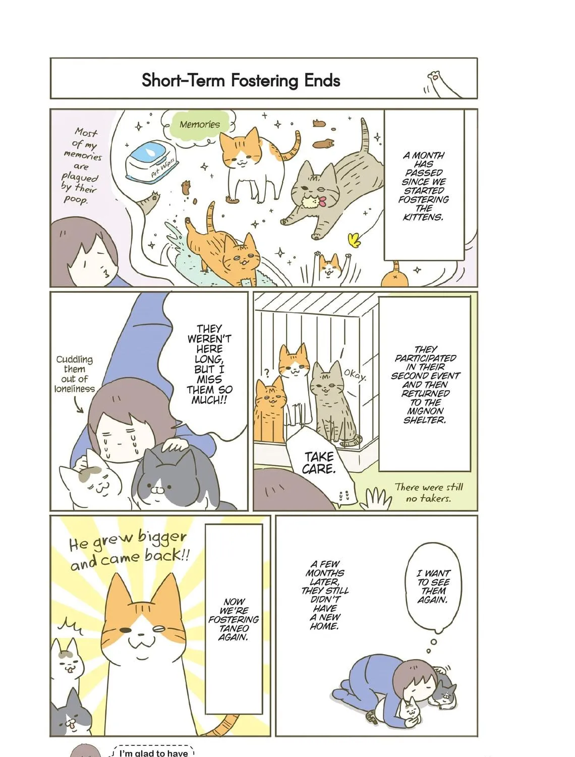 My Cat is Such a Weirdo Chapter 22 page 29 - 