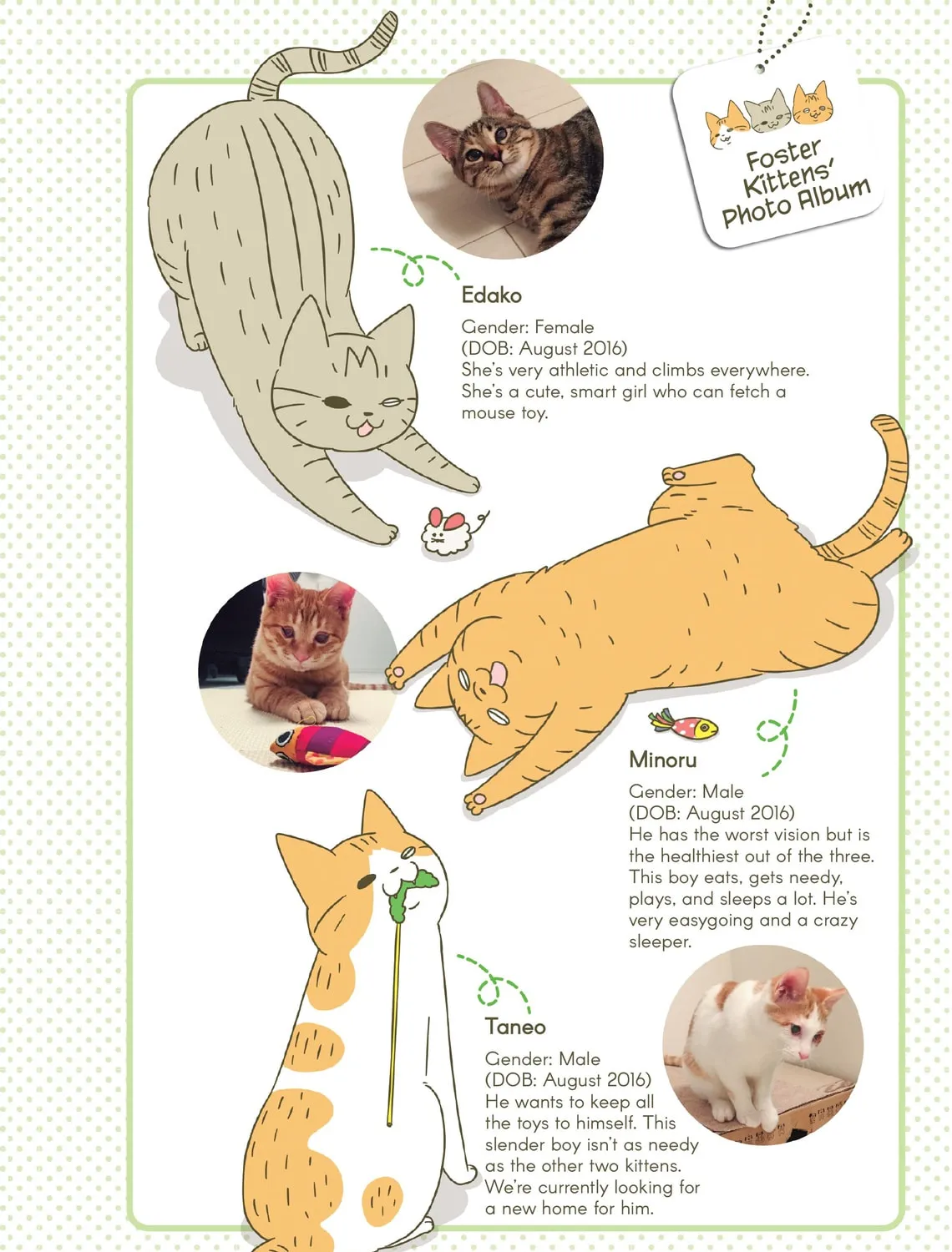 My Cat is Such a Weirdo Chapter 22 page 31 - 