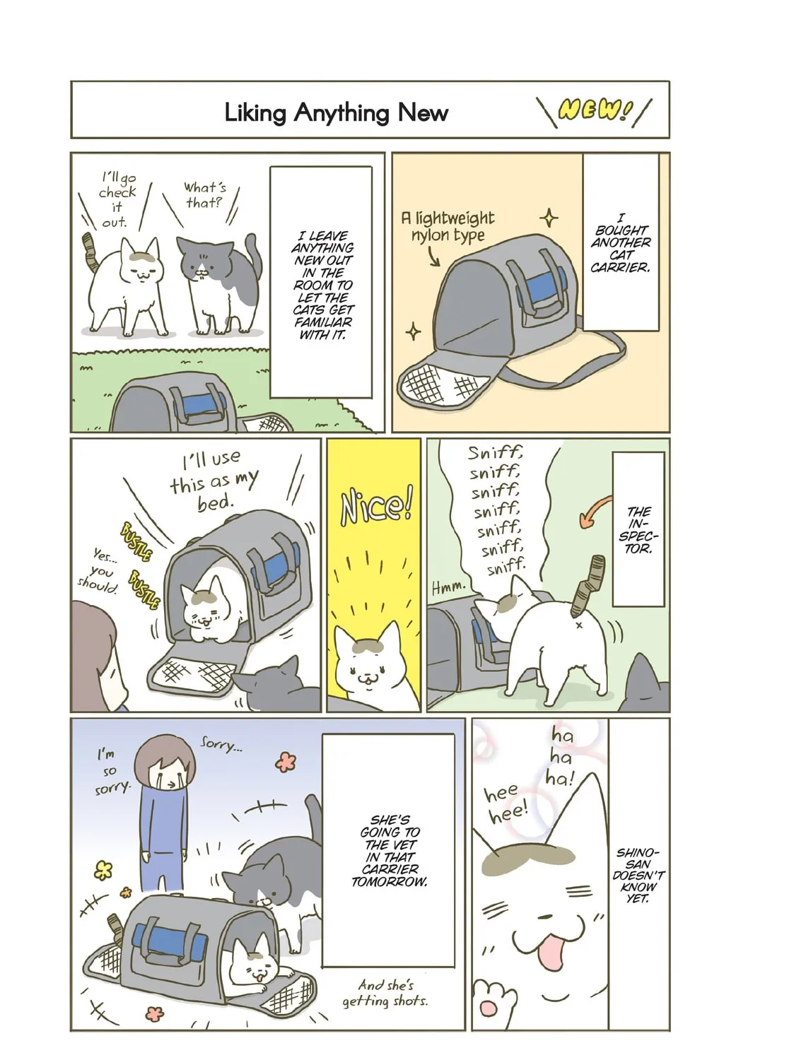 My Cat is Such a Weirdo Chapter 22 page 37 - 