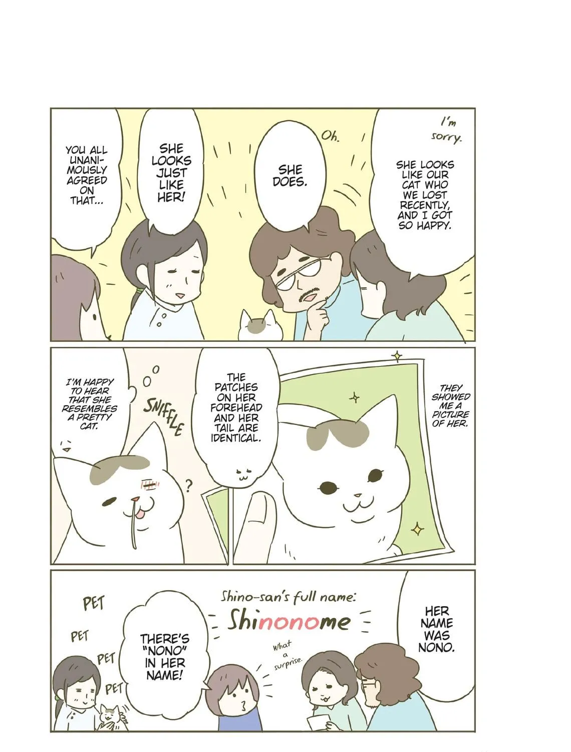 My Cat is Such a Weirdo Chapter 22 page 41 - 