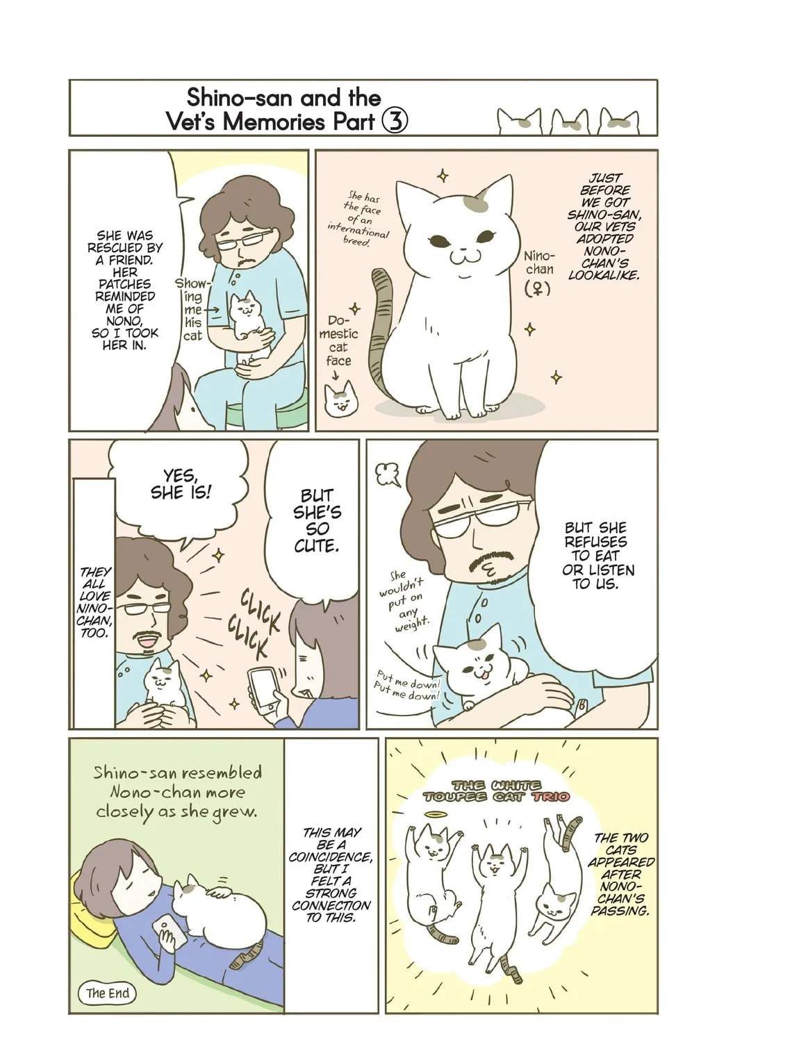 My Cat is Such a Weirdo Chapter 22 page 45 - 