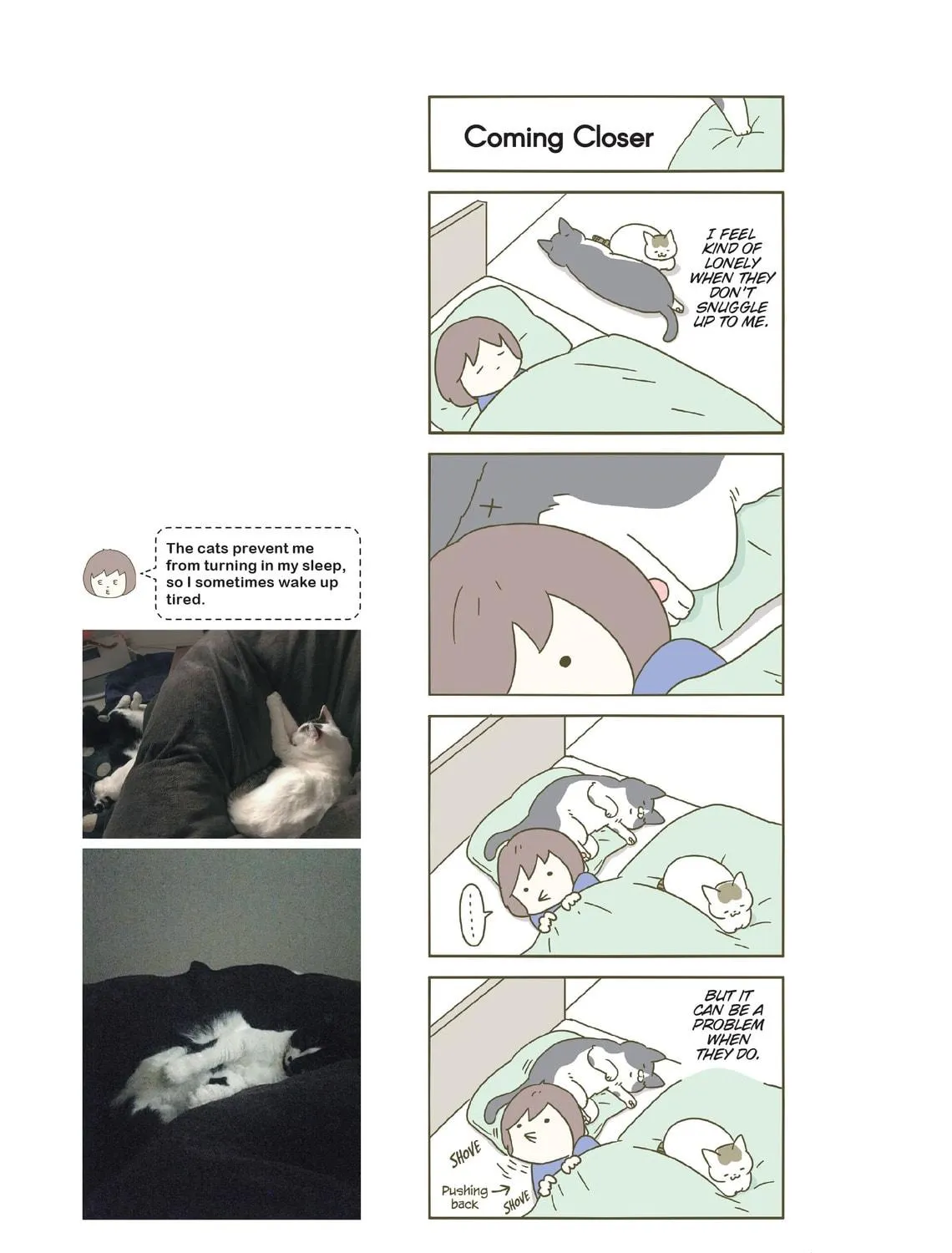 My Cat is Such a Weirdo Chapter 23 page 29 - 