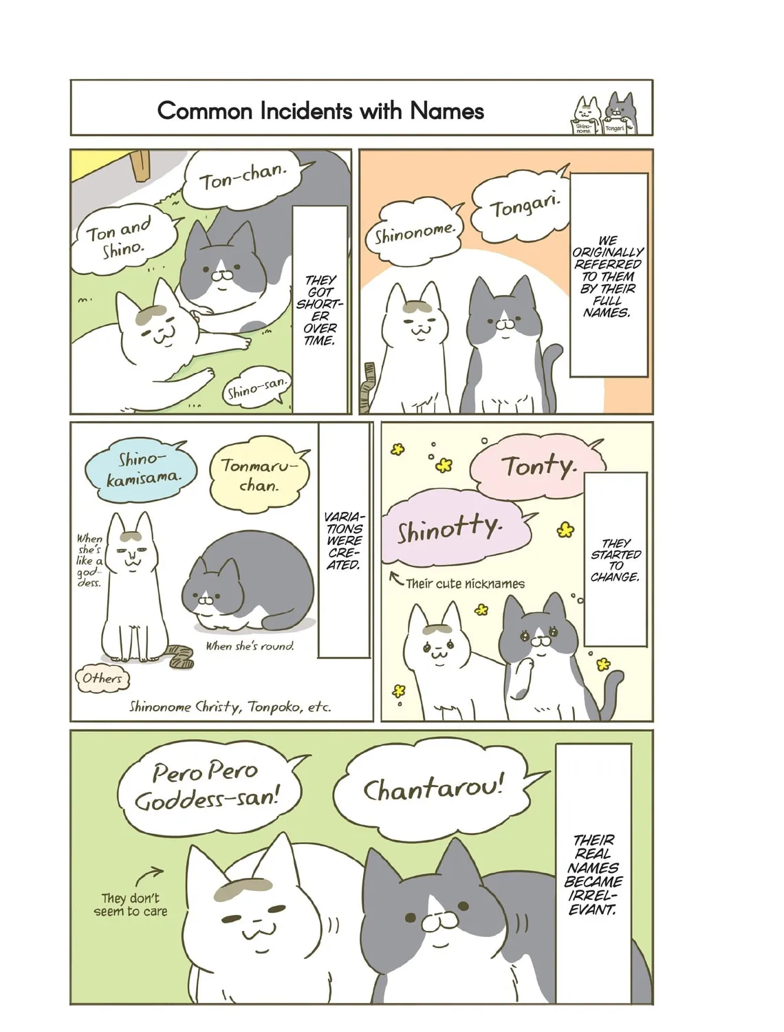 My Cat is Such a Weirdo Chapter 23 page 33 - 