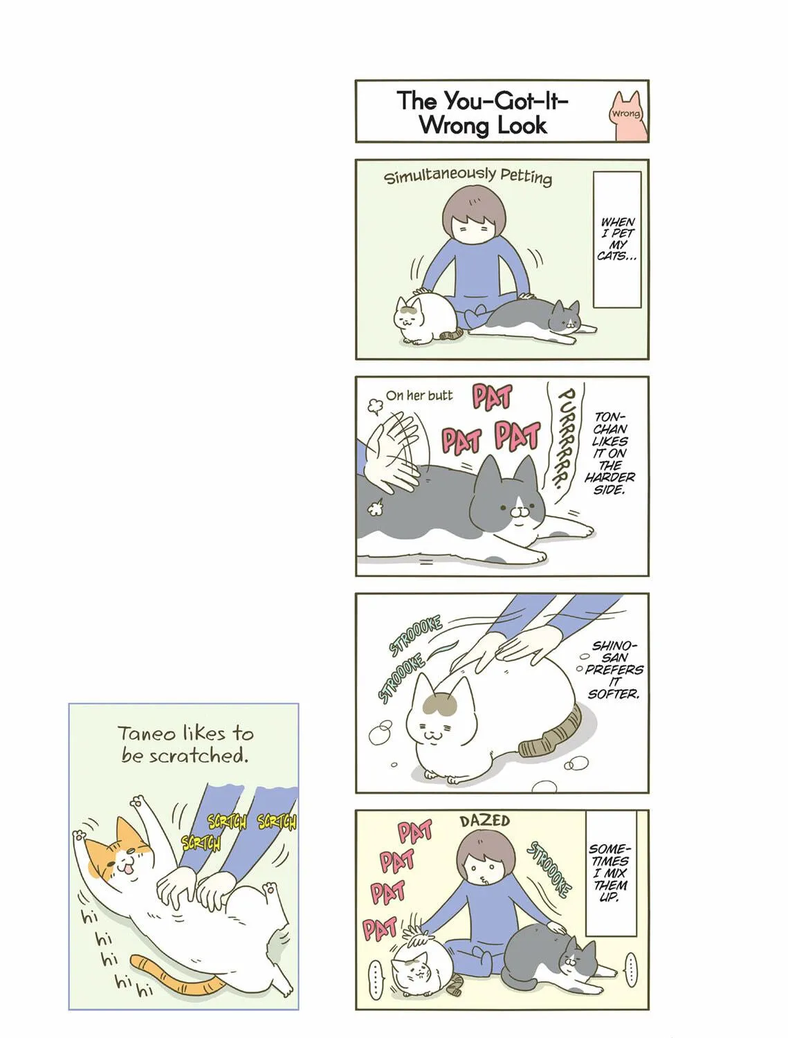 My Cat is Such a Weirdo Chapter 24 page 5 - 