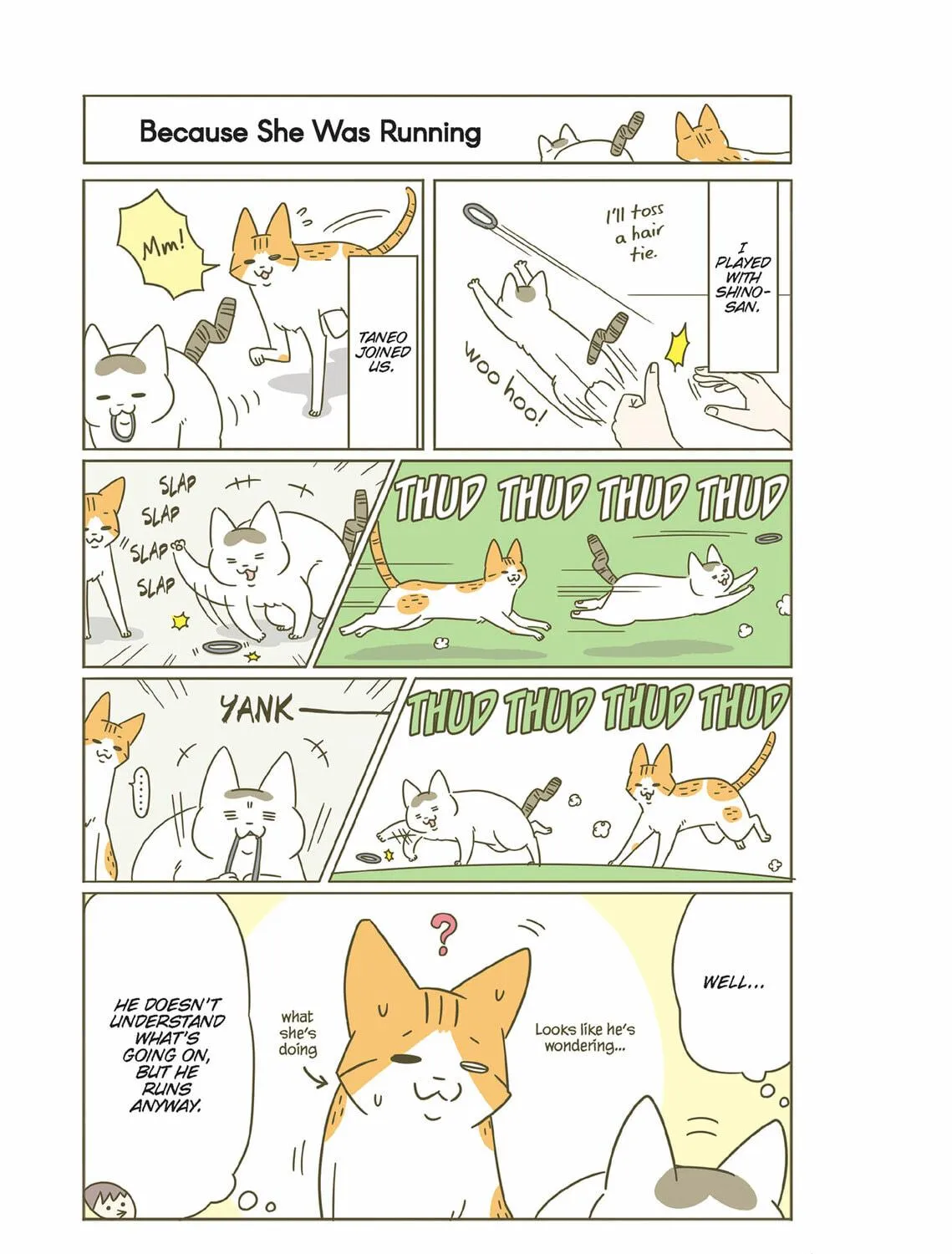 My Cat is Such a Weirdo Chapter 24 page 41 - 