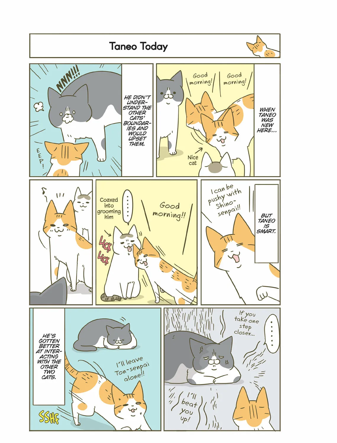 My Cat is Such a Weirdo Chapter 24 page 45 - 