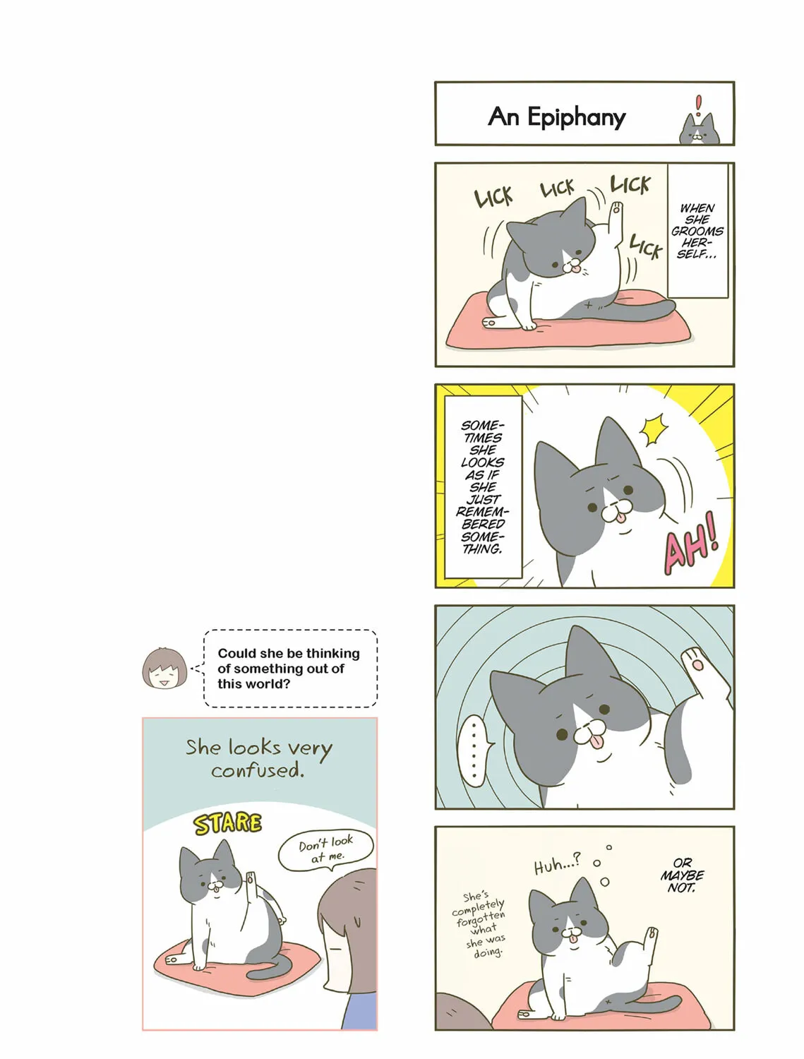 My Cat is Such a Weirdo Chapter 24 page 7 - 
