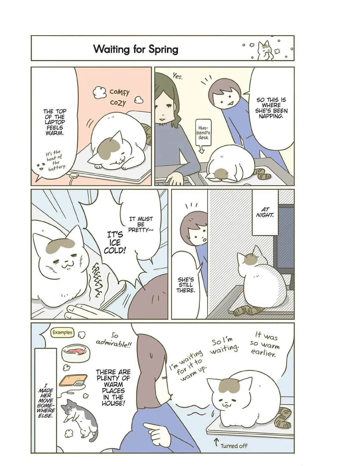 My Cat is Such a Weirdo Chapter 25 page 5 - 