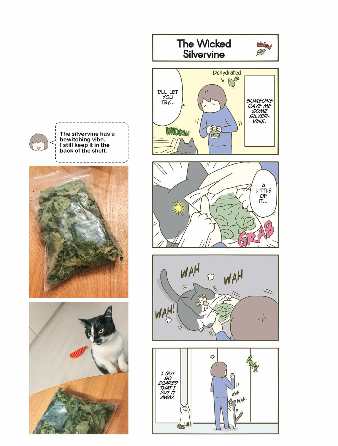 My Cat is Such a Weirdo Chapter 27 page 33 - 