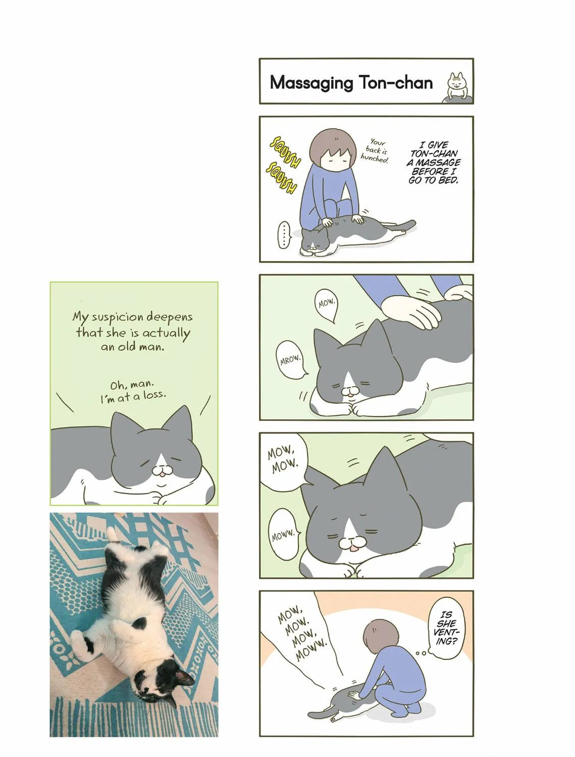 My Cat is Such a Weirdo Chapter 28 page 17 - 